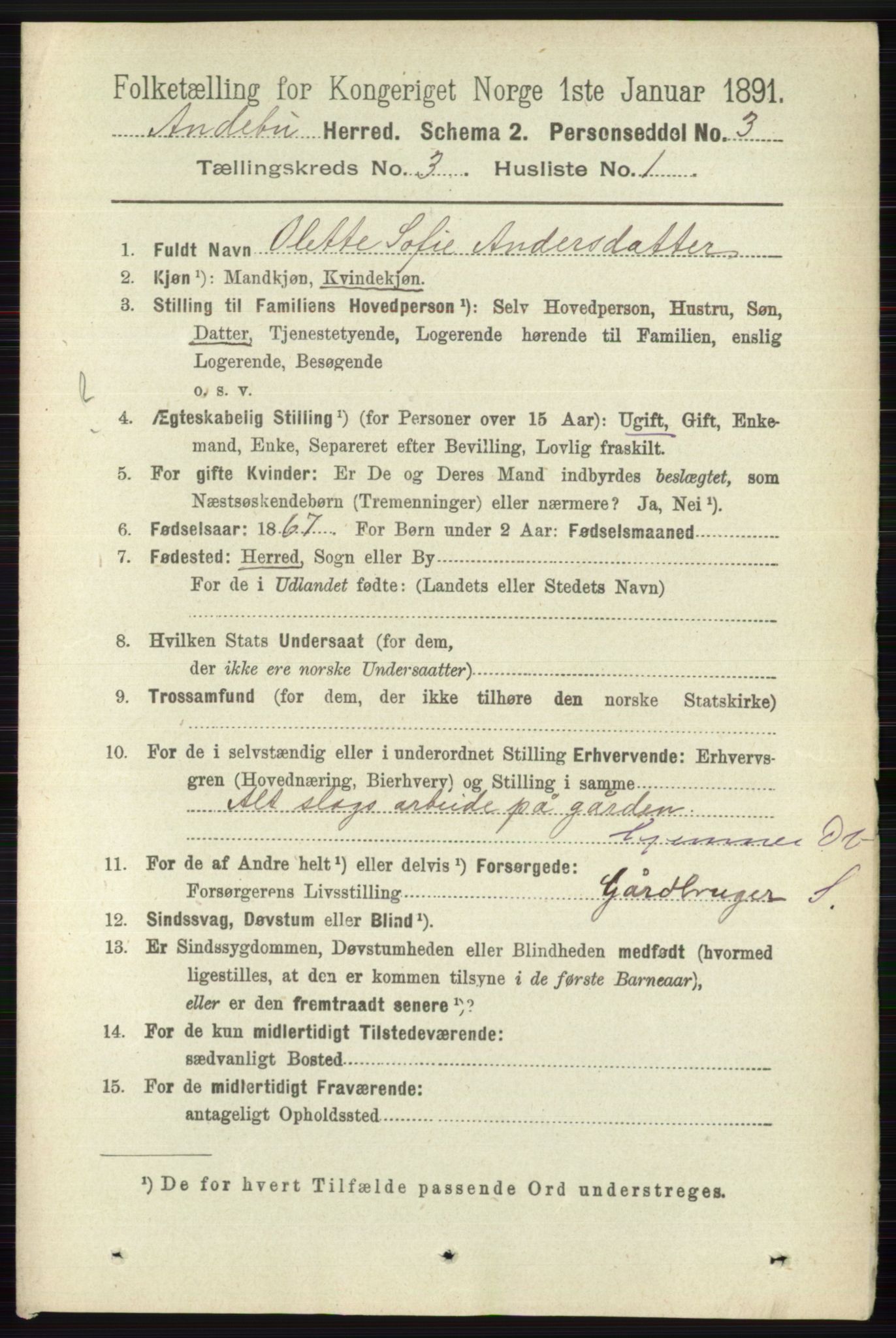 RA, 1891 census for 0719 Andebu, 1891, p. 1498