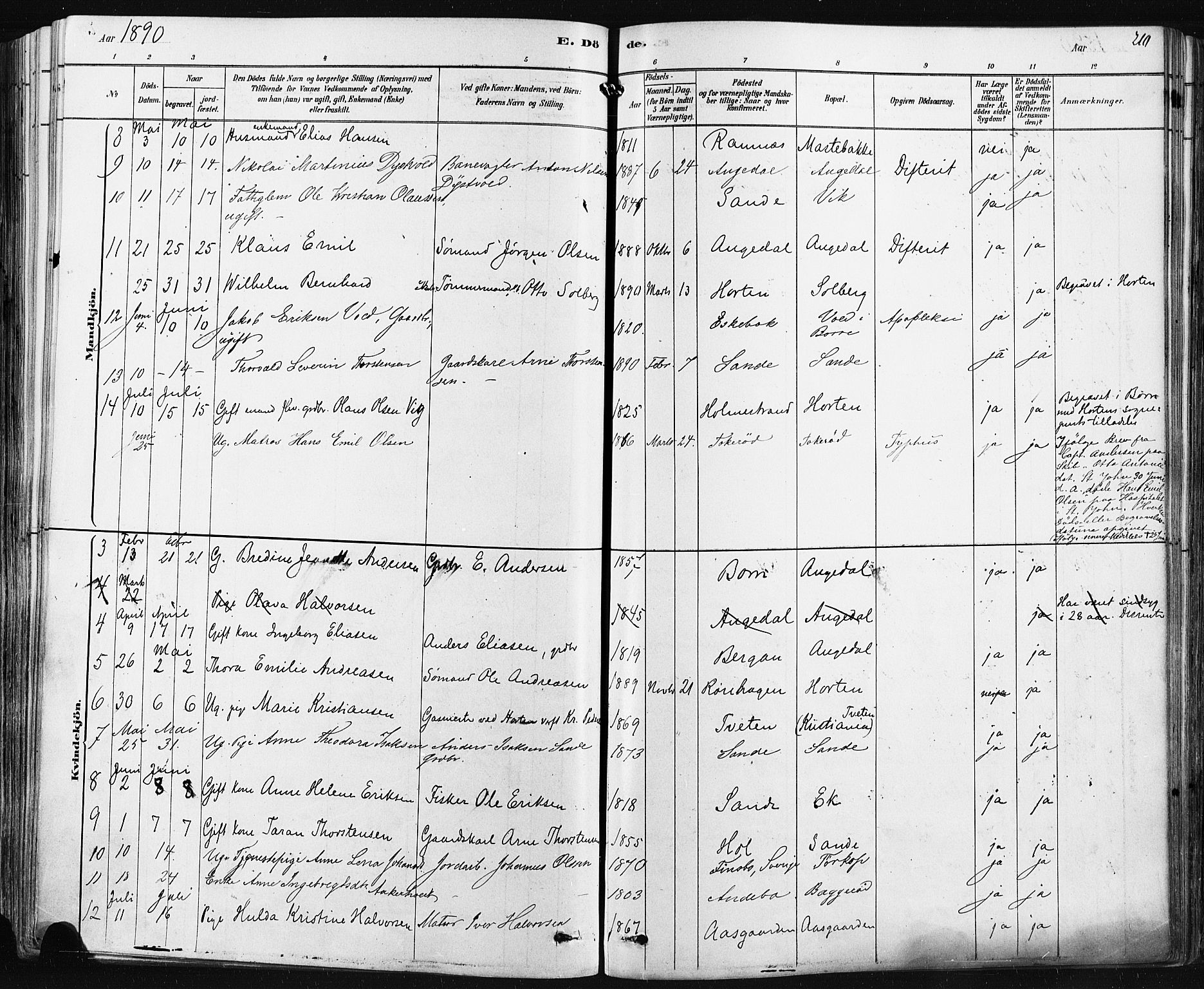 Borre kirkebøker, AV/SAKO-A-338/F/Fa/L0009: Parish register (official) no. I 9, 1878-1896, p. 210