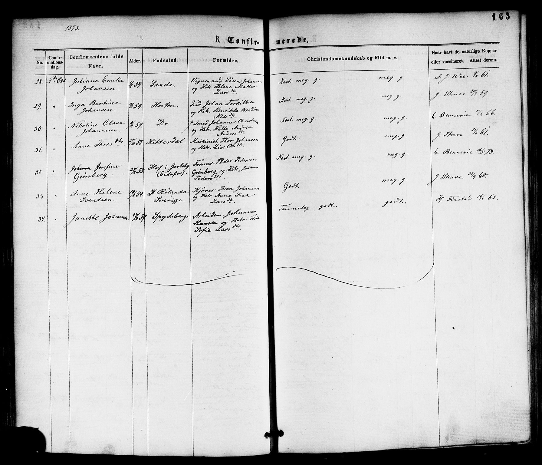 Horten kirkebøker, AV/SAKO-A-348/F/Fa/L0002: Parish register (official) no. 2, 1872-1877, p. 163