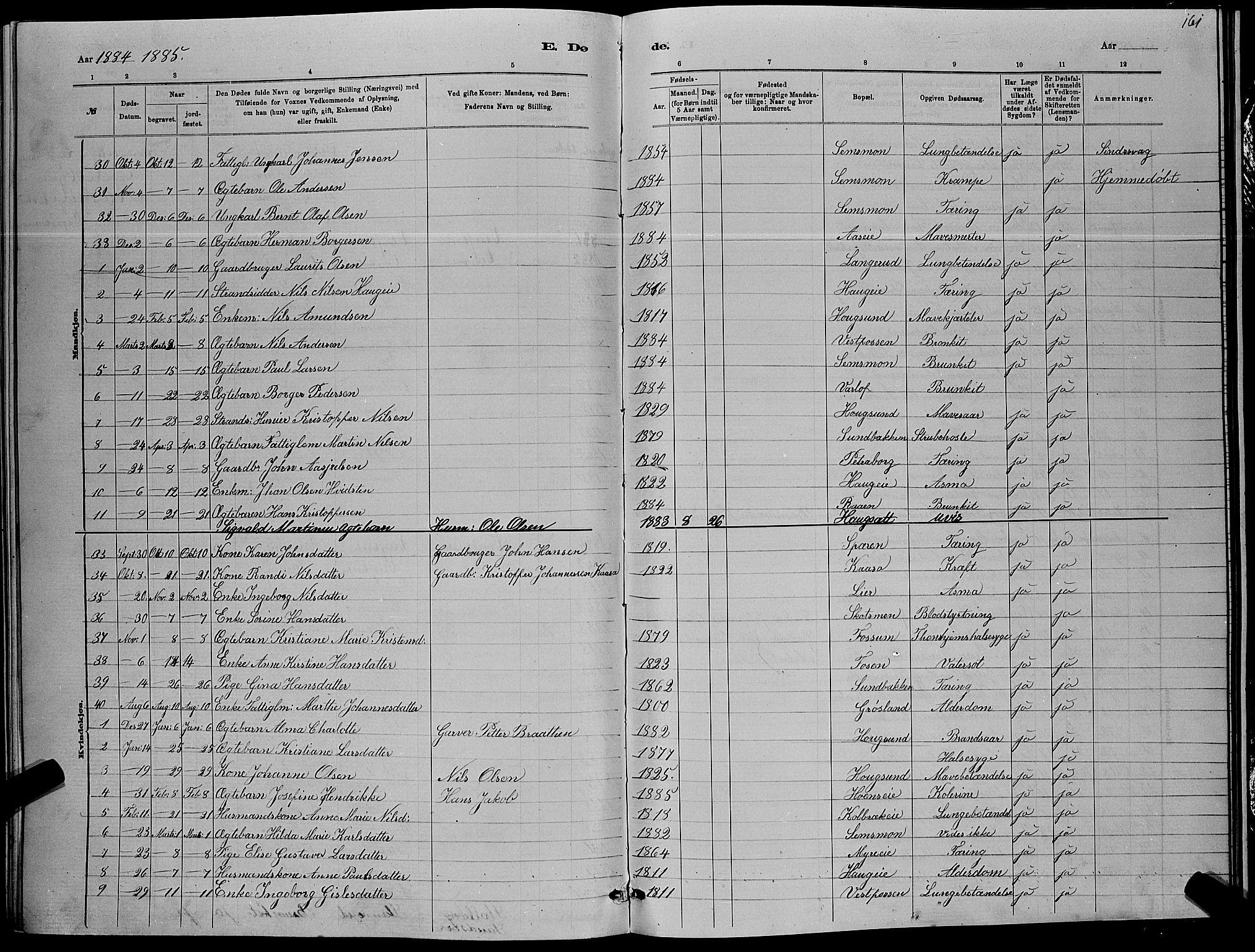 Eiker kirkebøker, SAKO/A-4/G/Ga/L0005: Parish register (copy) no. I 5, 1878-1887, p. 161