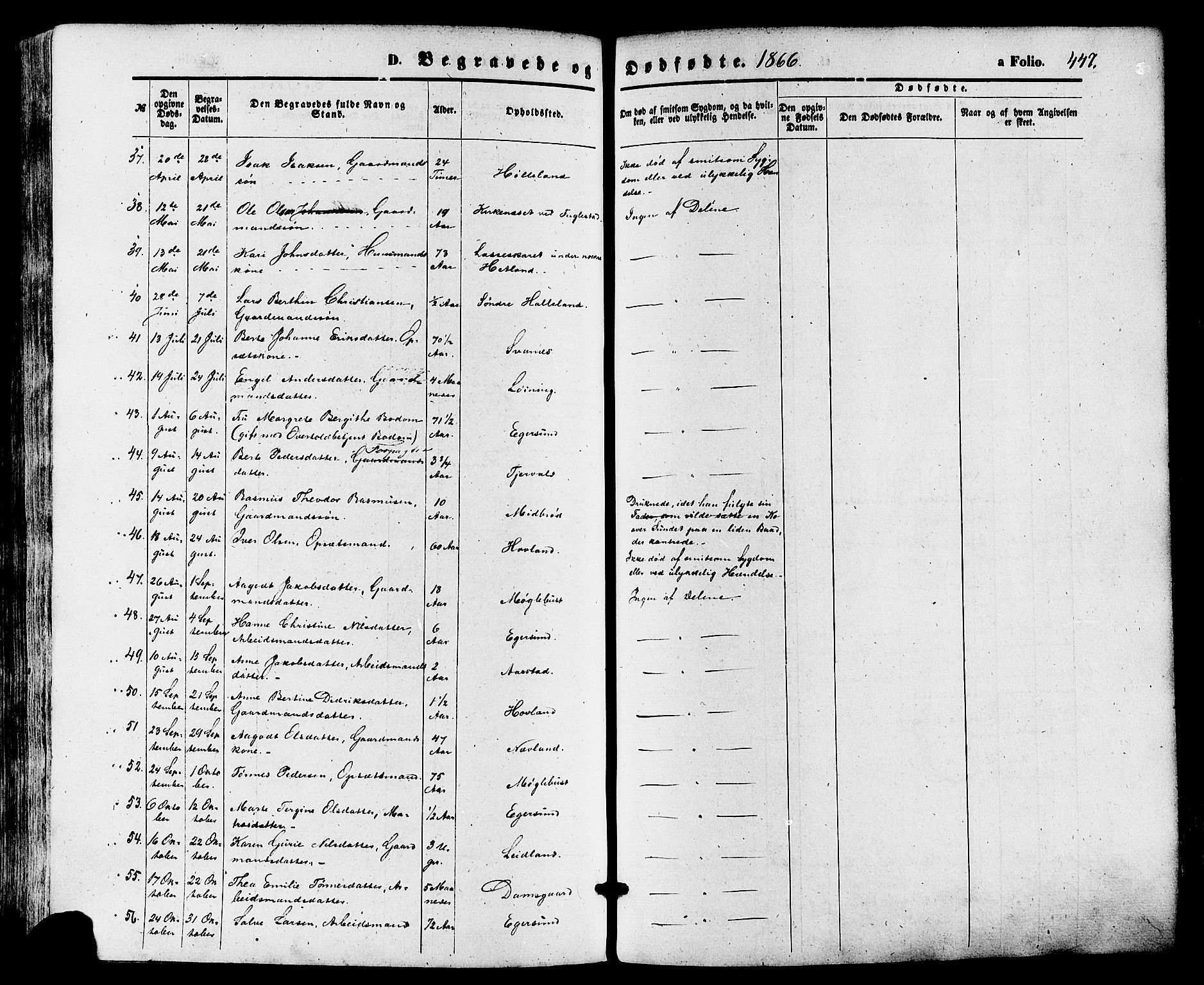 Eigersund sokneprestkontor, AV/SAST-A-101807/S08/L0014: Parish register (official) no. A 13, 1866-1878, p. 447