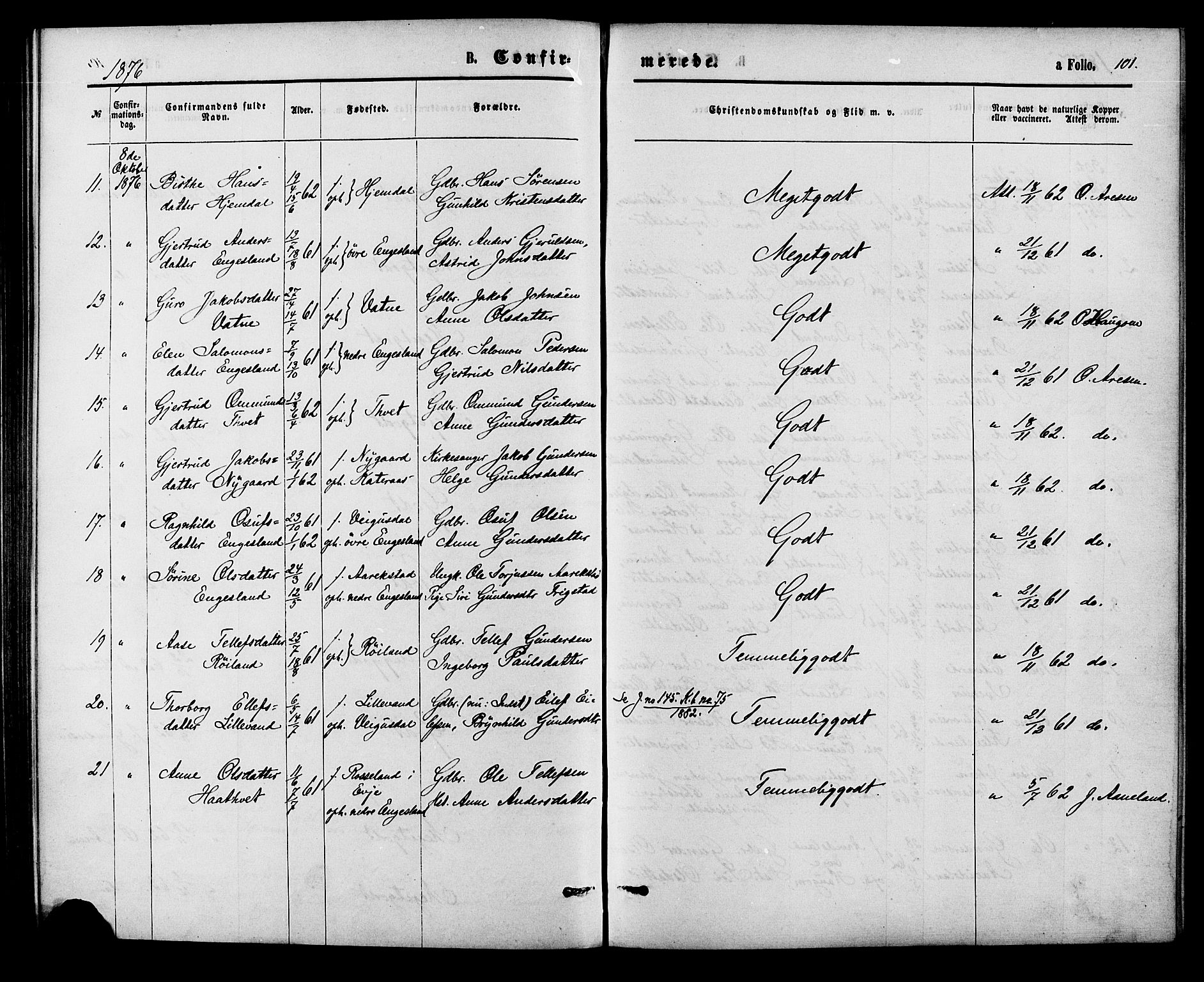 Herefoss sokneprestkontor, SAK/1111-0019/F/Fa/Fab/L0003: Parish register (official) no. A 3, 1875-1886, p. 101