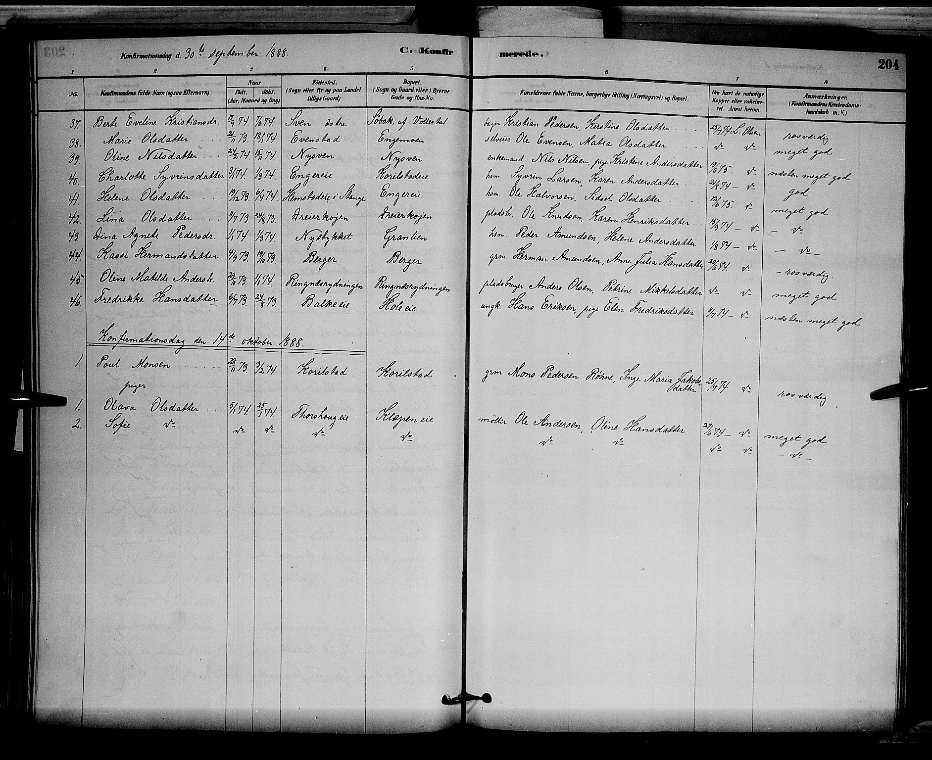 Løten prestekontor, SAH/PREST-022/L/La/L0005: Parish register (copy) no. 5, 1878-1891, p. 204