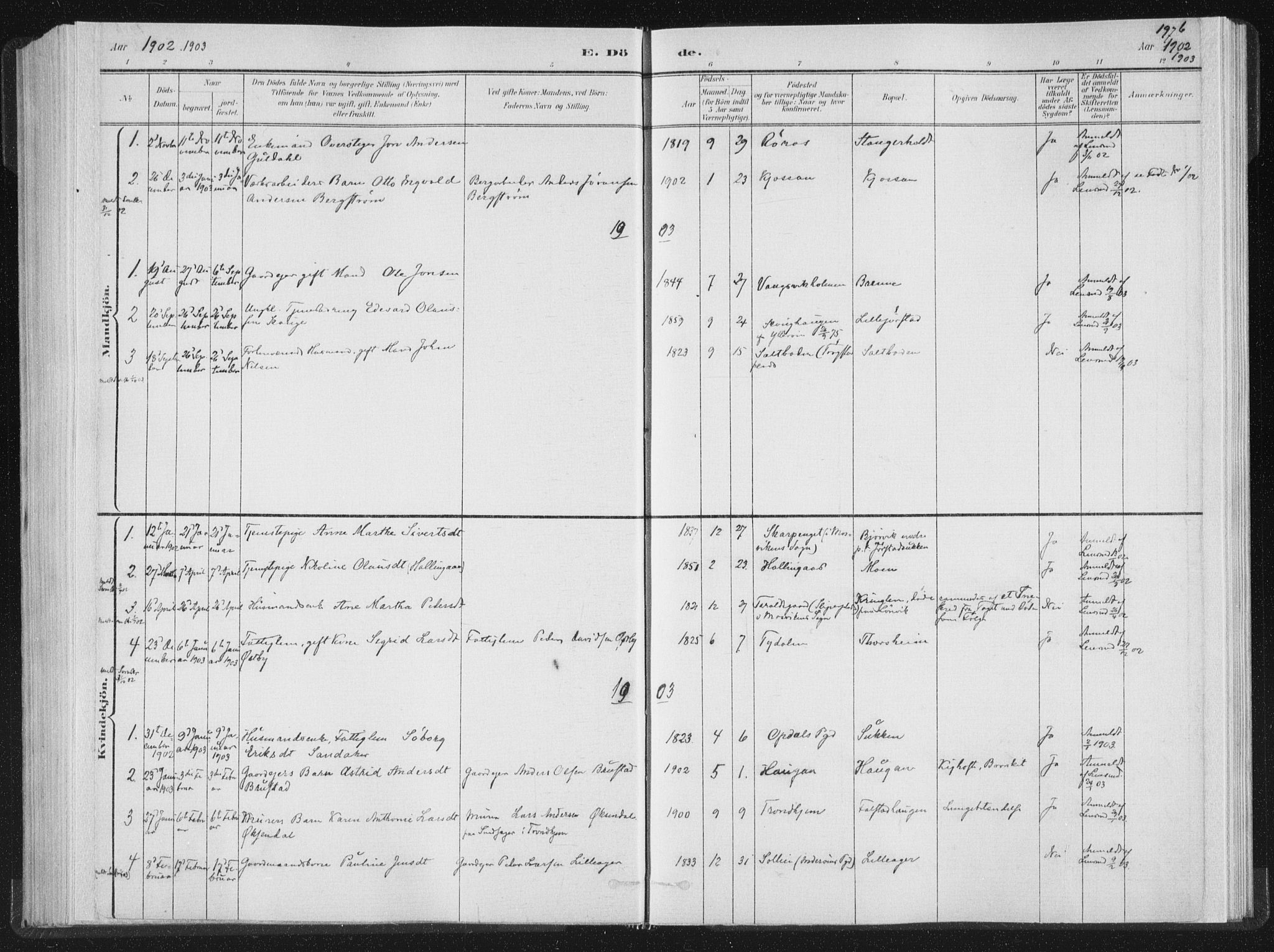 Ministerialprotokoller, klokkerbøker og fødselsregistre - Nord-Trøndelag, AV/SAT-A-1458/722/L0220: Parish register (official) no. 722A07, 1881-1908, p. 197b