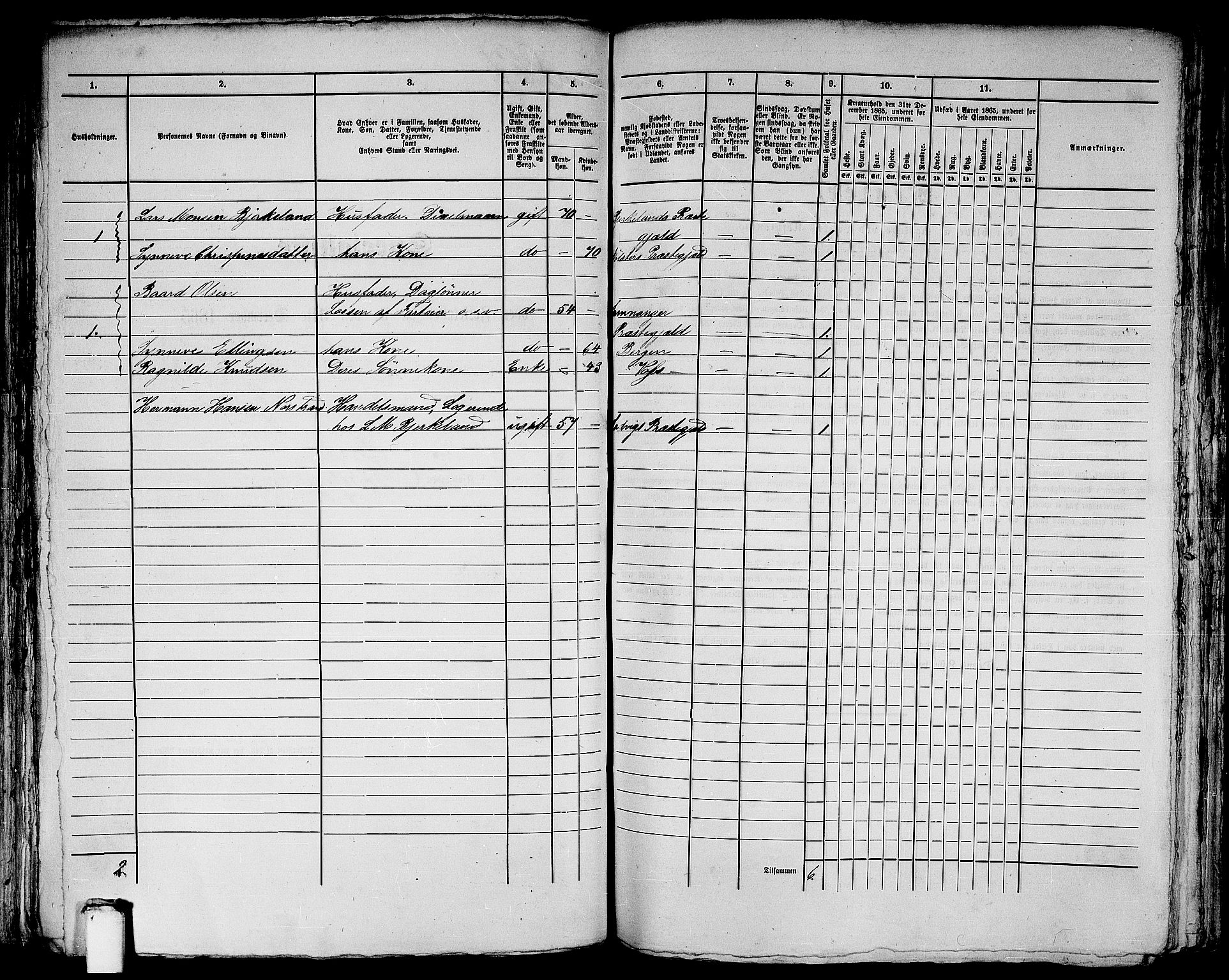 RA, 1865 census for Bergen, 1865, p. 1796