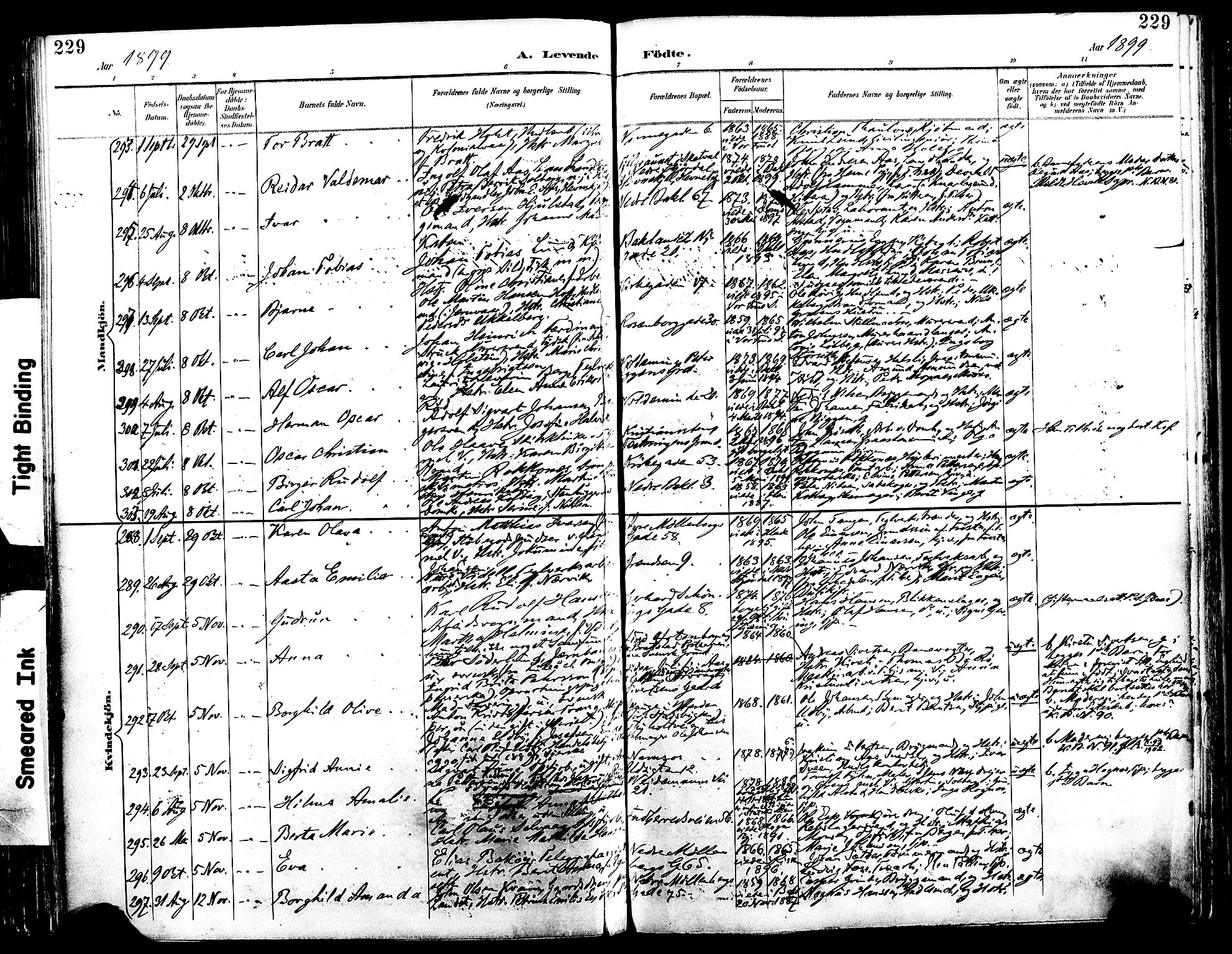 Ministerialprotokoller, klokkerbøker og fødselsregistre - Sør-Trøndelag, SAT/A-1456/604/L0197: Parish register (official) no. 604A18, 1893-1900, p. 229