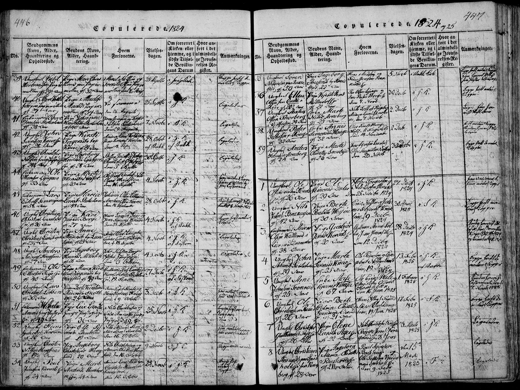 Eiker kirkebøker, SAKO/A-4/F/Fa/L0011: Parish register (official) no. I 11, 1814-1827, p. 446-447