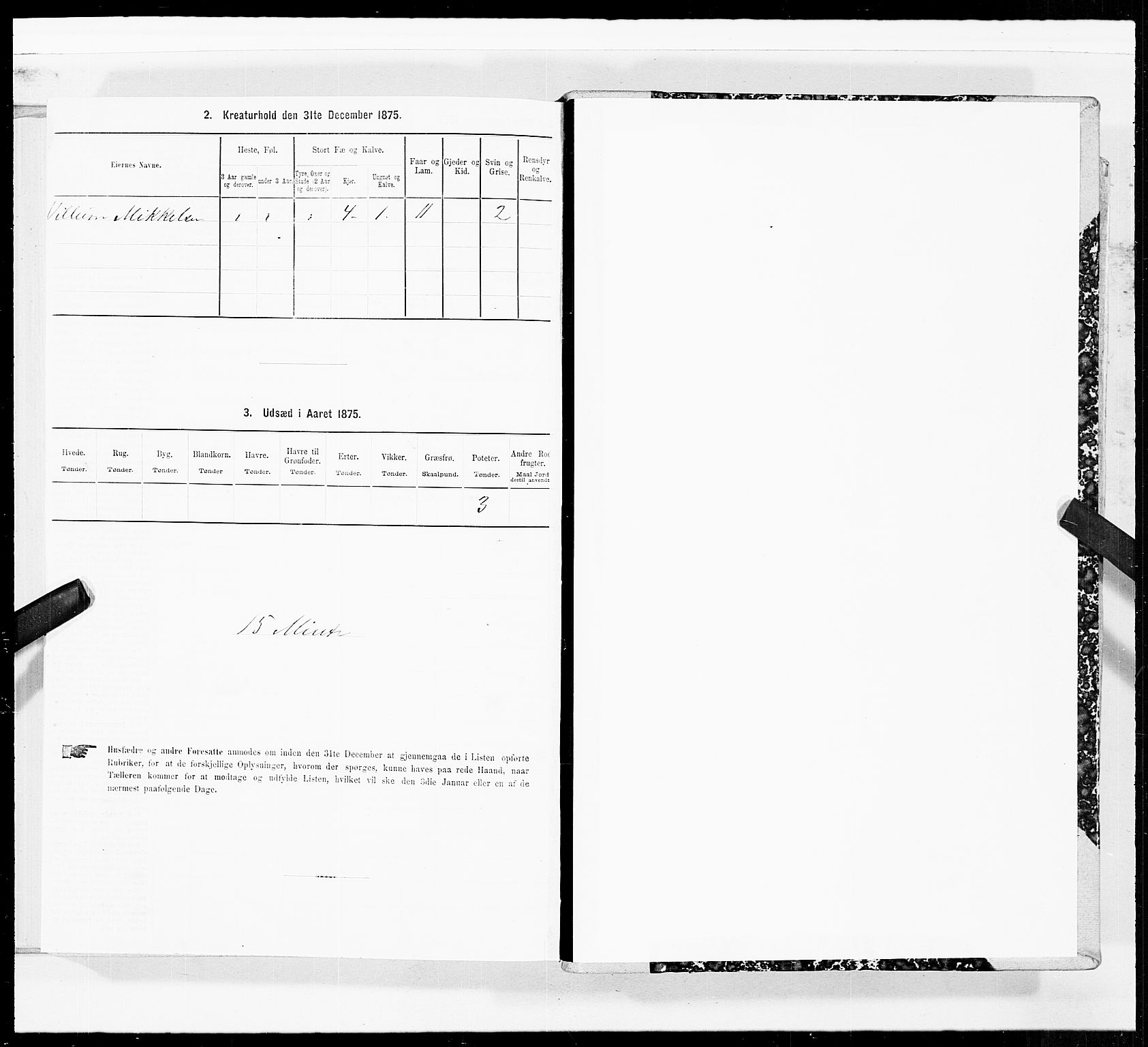 SAT, 1875 census for 1867P Bø, 1875