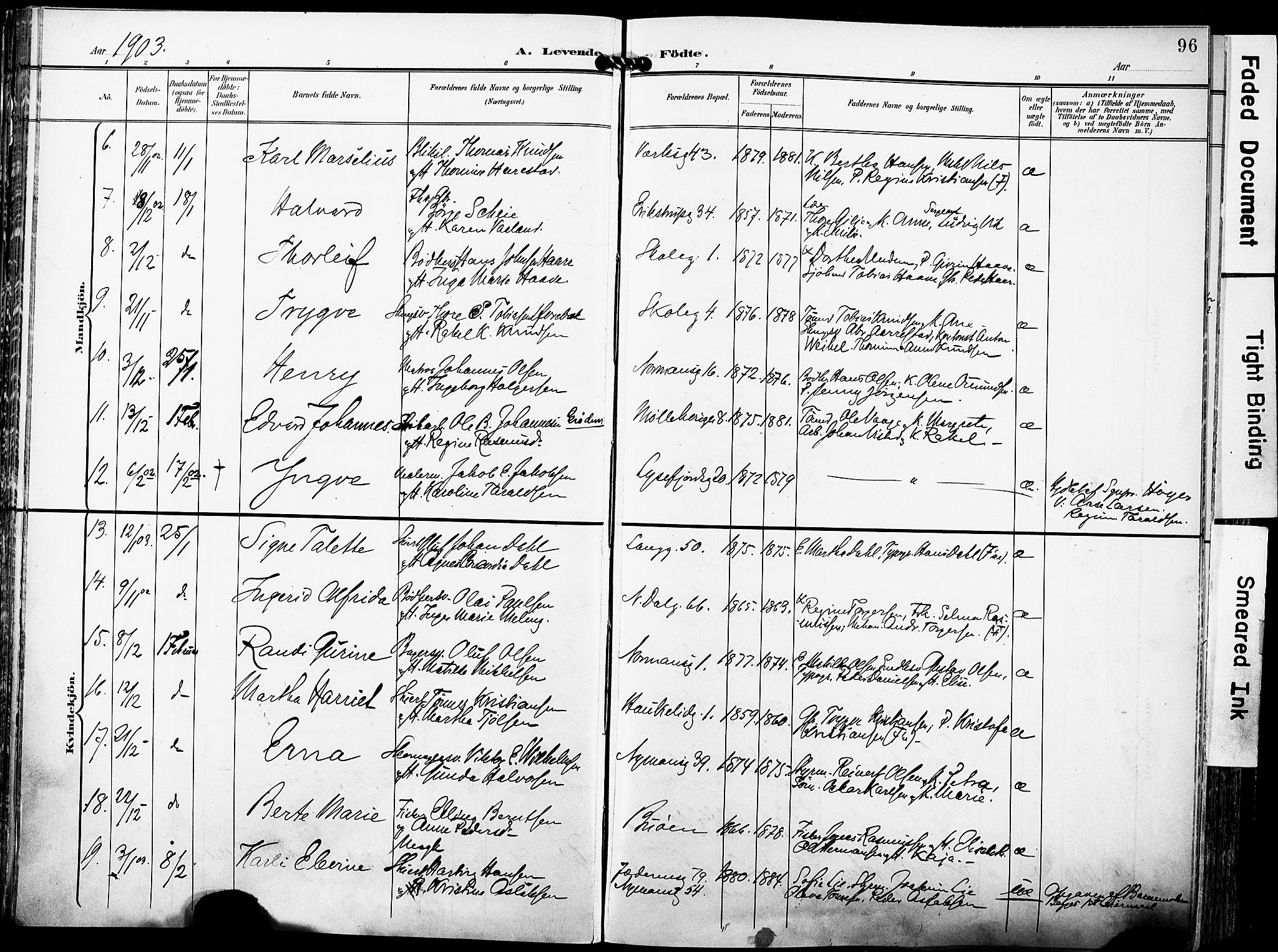 St. Johannes sokneprestkontor, AV/SAST-A-101814/001/30/30BA/L0007: Parish register (official) no. A 7, 1900-1910, p. 96