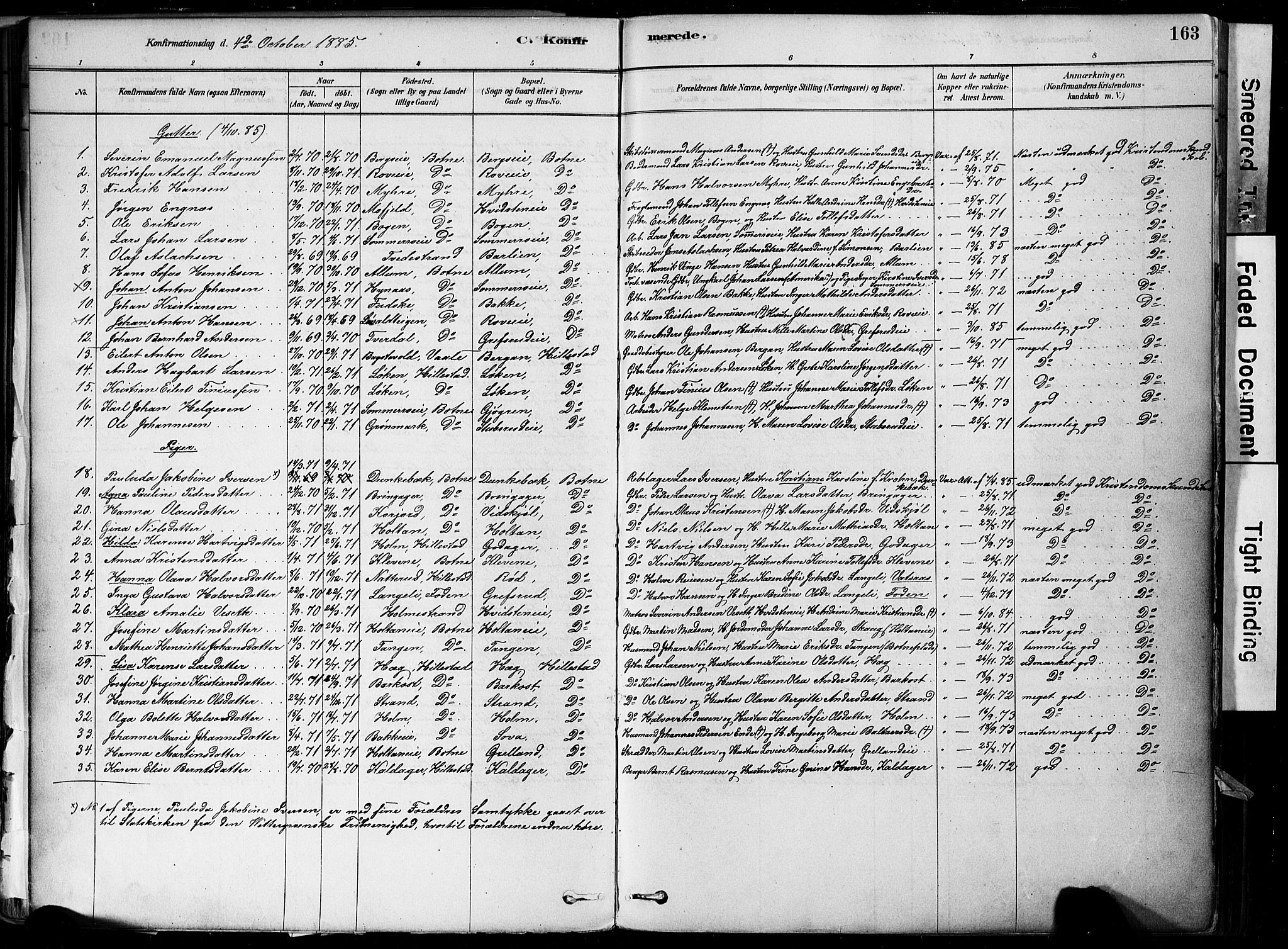 Botne kirkebøker, SAKO/A-340/F/Fa/L0007: Parish register (official) no. I 7, 1878-1910, p. 163