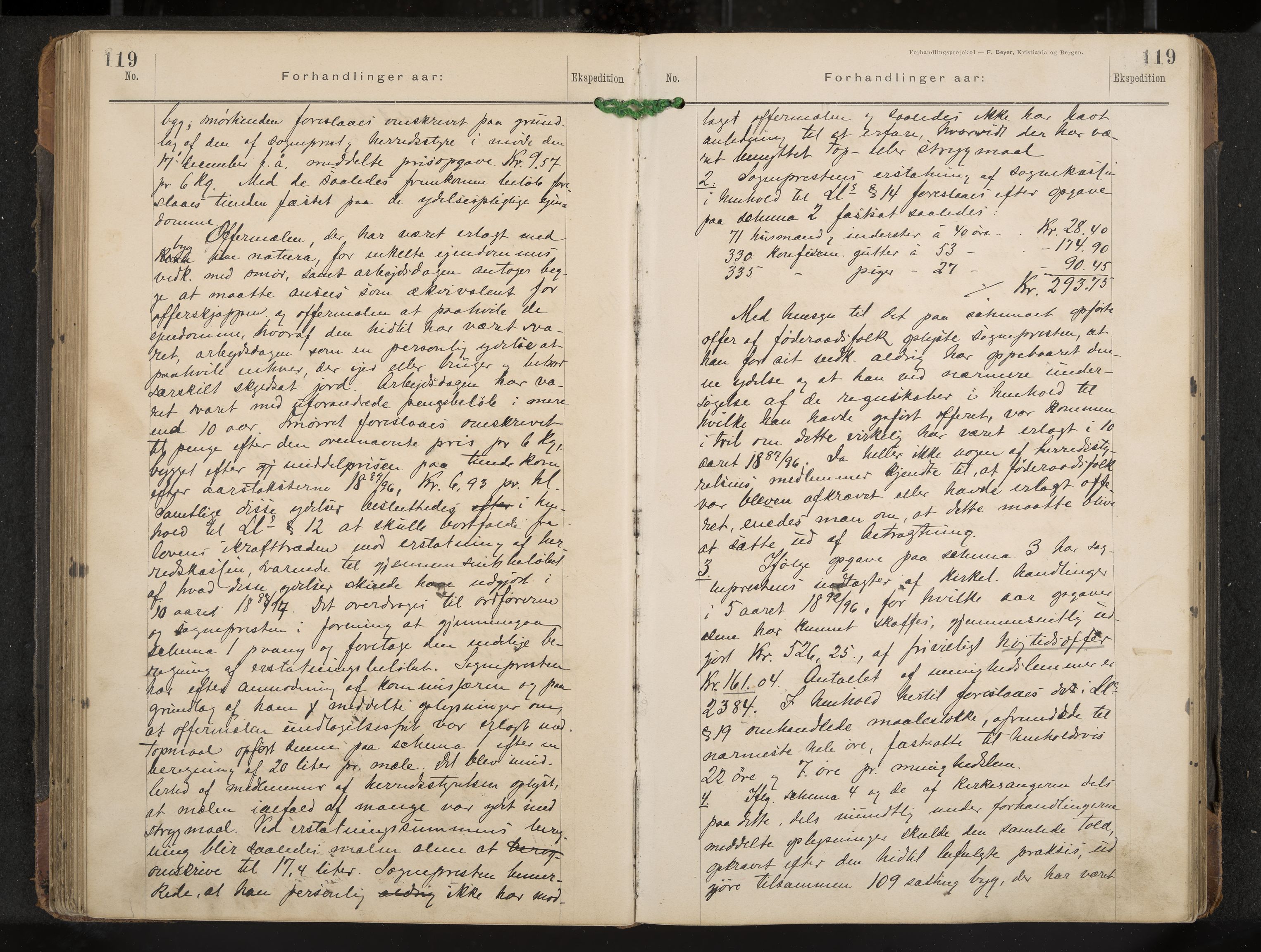 Gol formannskap og sentraladministrasjon, IKAK/0617021-1/A/Aa/L0003: Møtebok, 1892-1905, p. 119