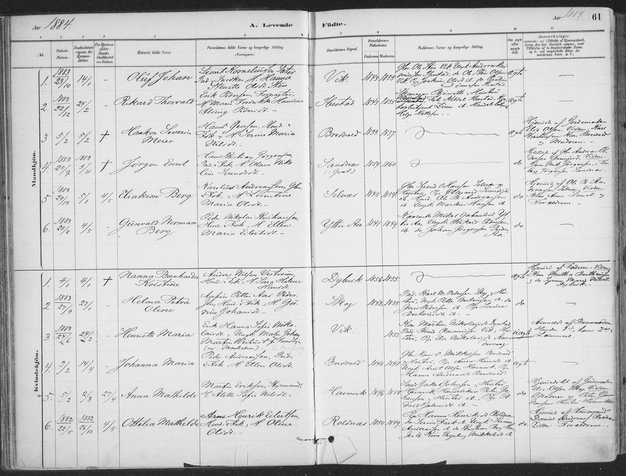 Ibestad sokneprestembete, SATØ/S-0077/H/Ha/Haa/L0011kirke: Parish register (official) no. 11, 1880-1889, p. 61