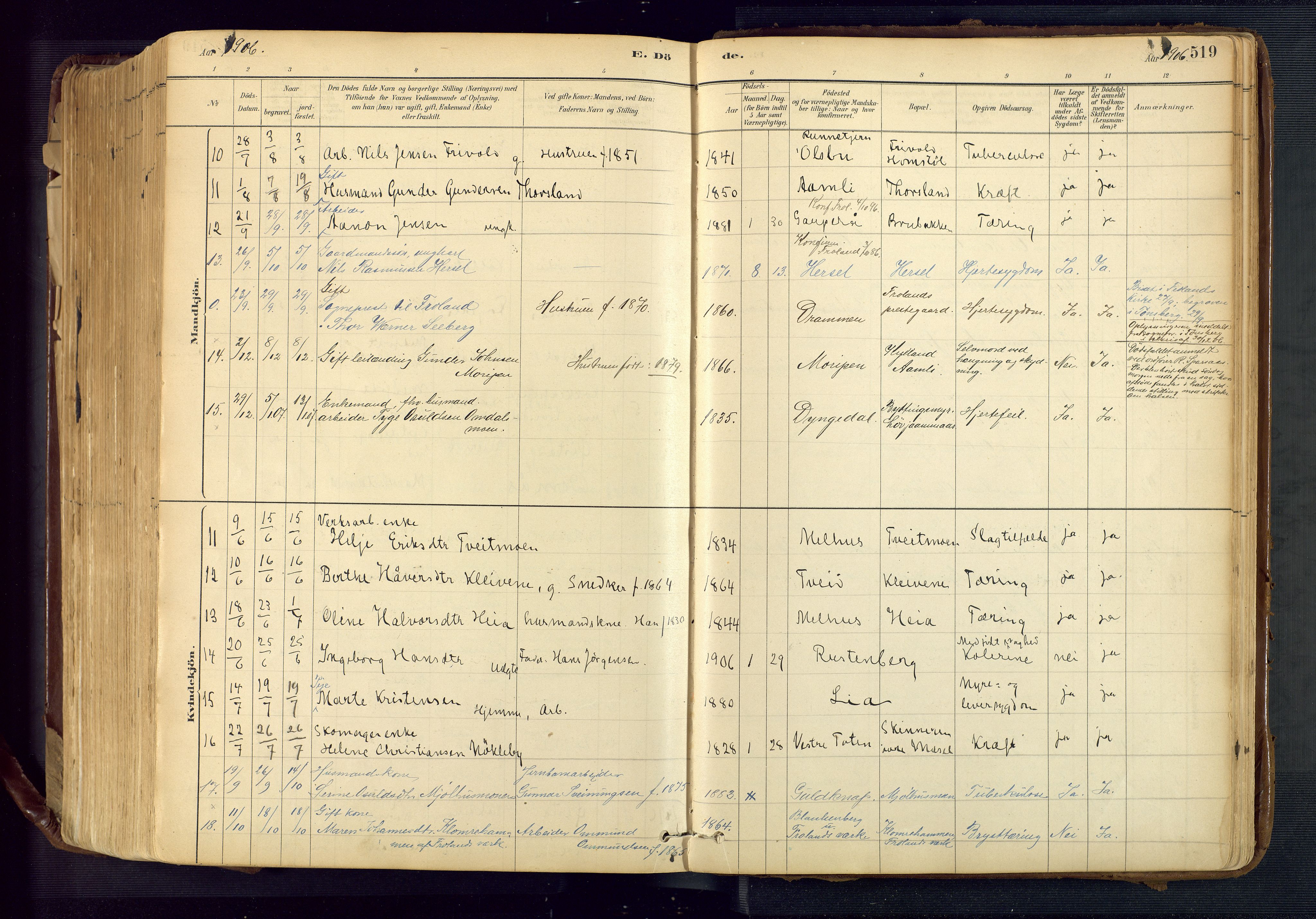 Froland sokneprestkontor, SAK/1111-0013/F/Fa/L0005: Parish register (official) no. A 5, 1882-1921, p. 519