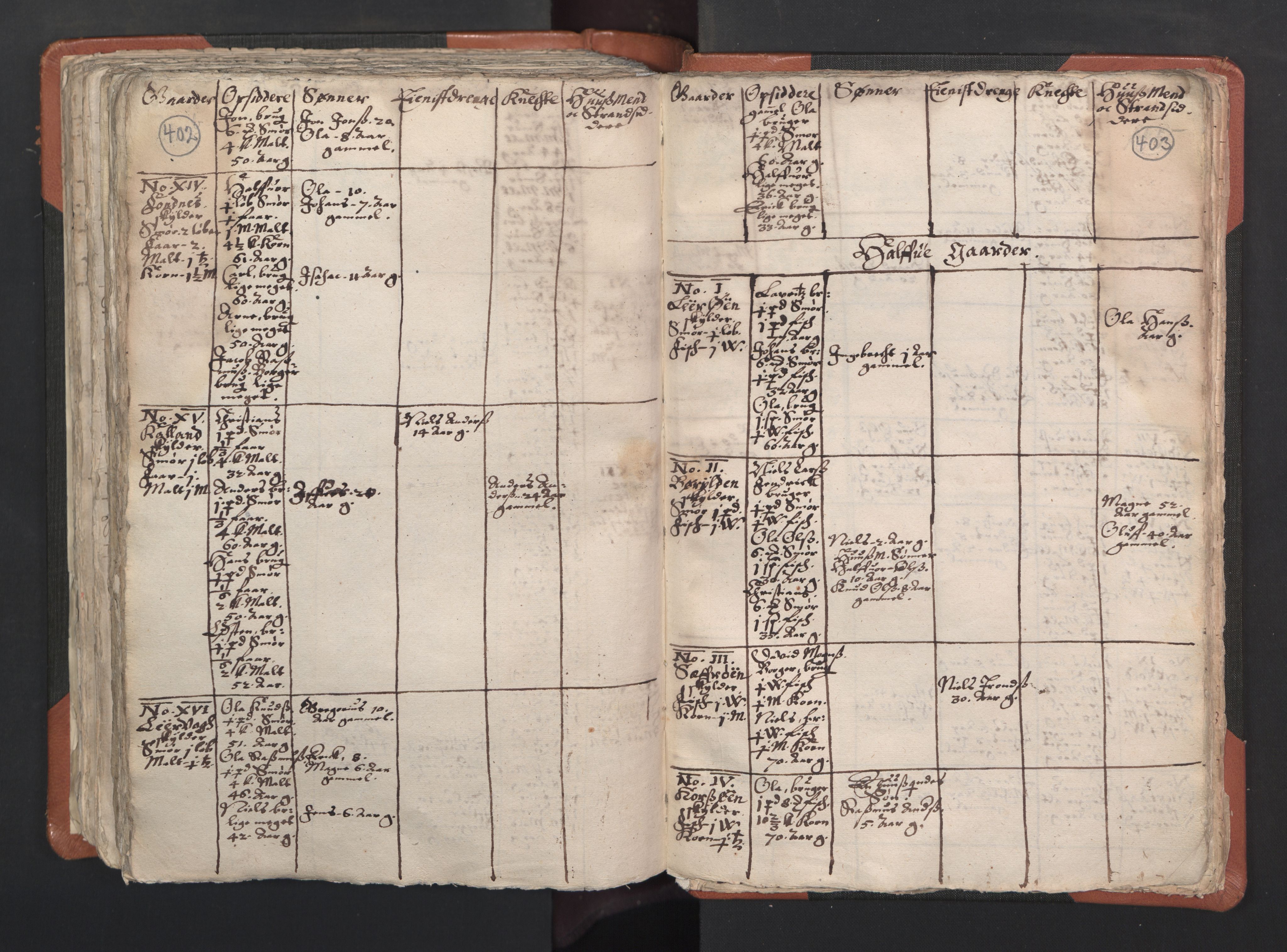 RA, Vicar's Census 1664-1666, no. 22: Nordhordland deanery, 1664-1666, p. 402-403