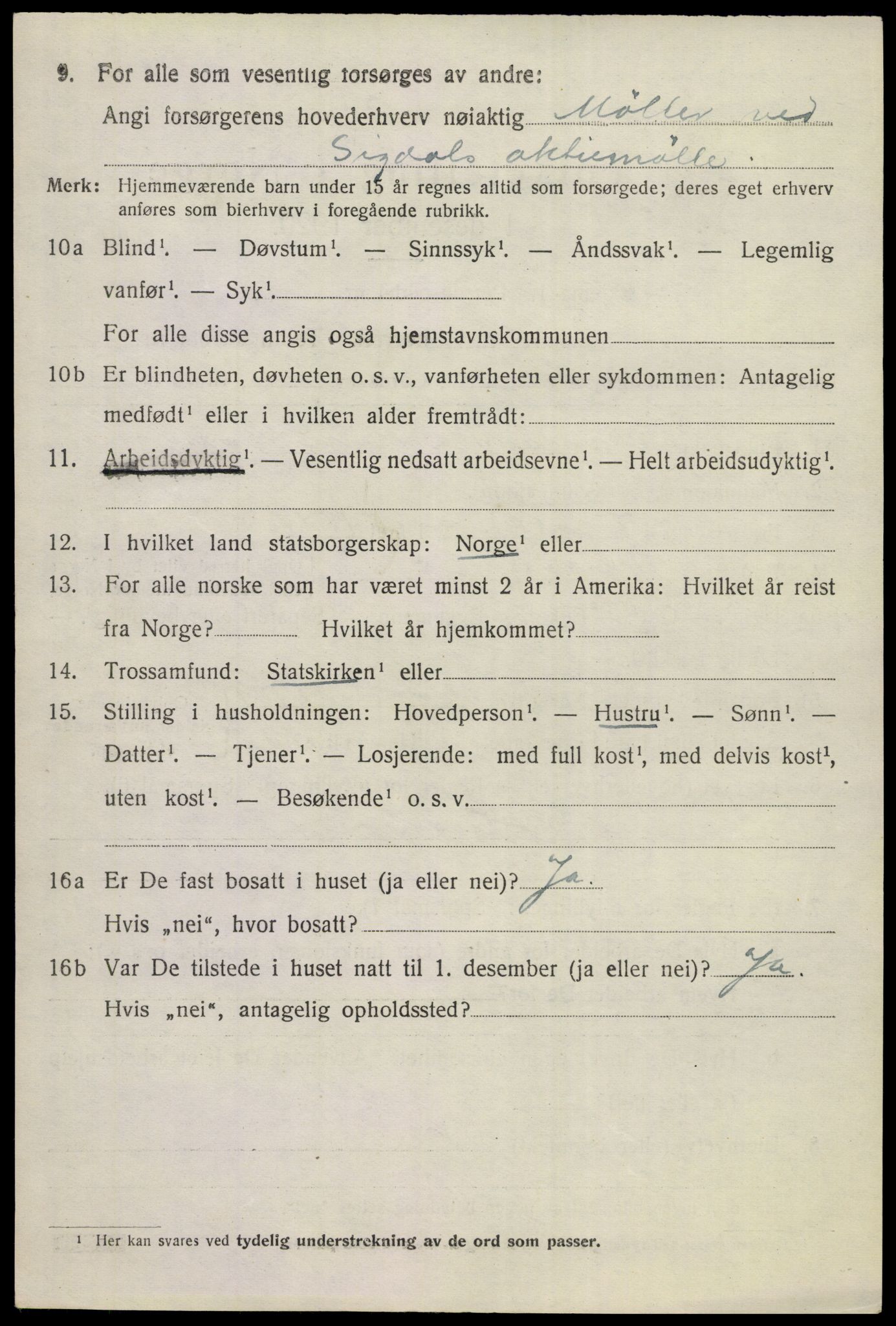 SAKO, 1920 census for Sigdal, 1920, p. 2229