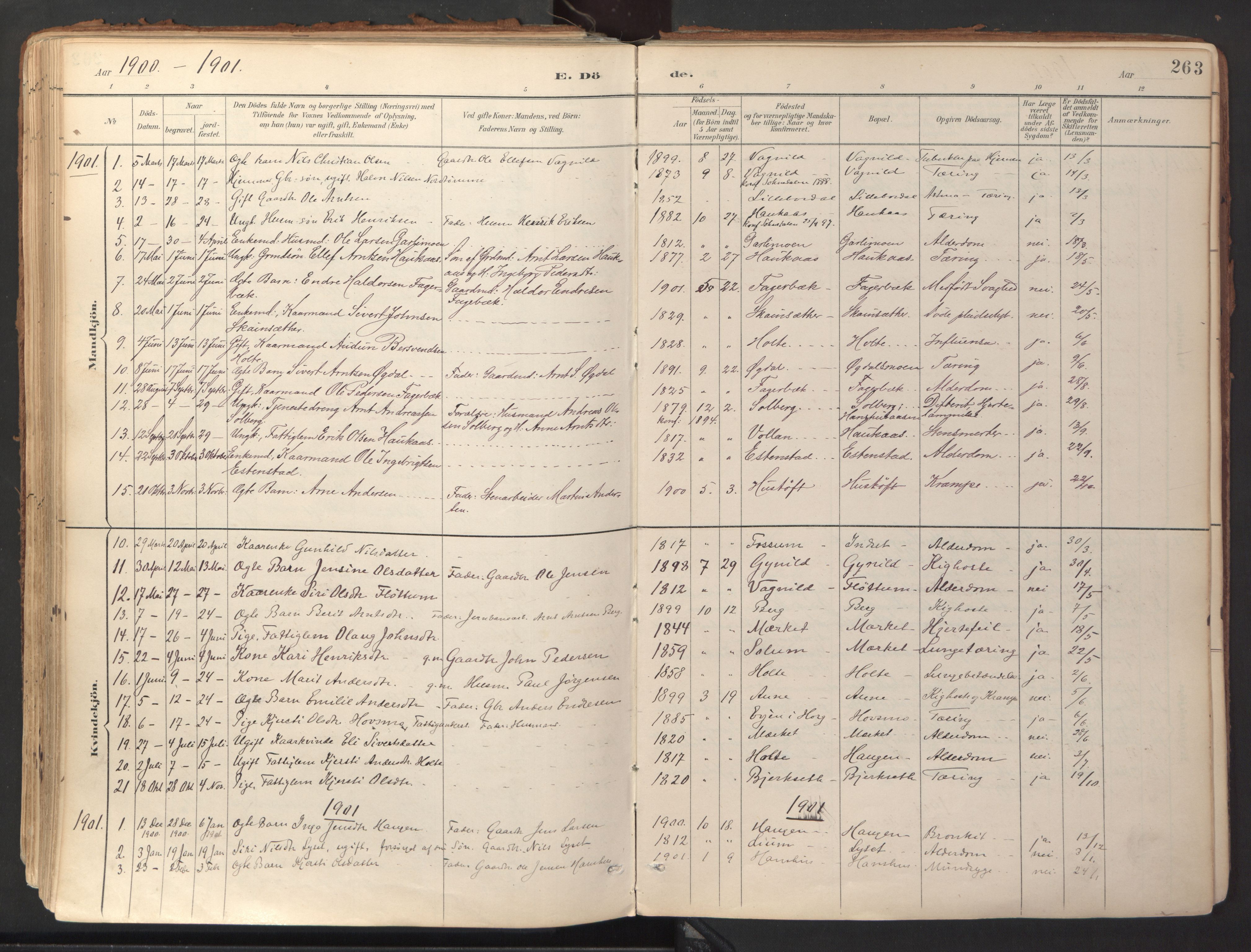 Ministerialprotokoller, klokkerbøker og fødselsregistre - Sør-Trøndelag, SAT/A-1456/689/L1041: Parish register (official) no. 689A06, 1891-1923, p. 263
