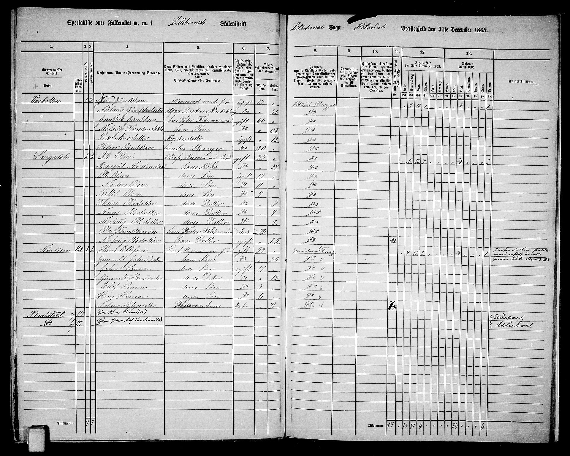 RA, 1865 census for Heddal, 1865, p. 141