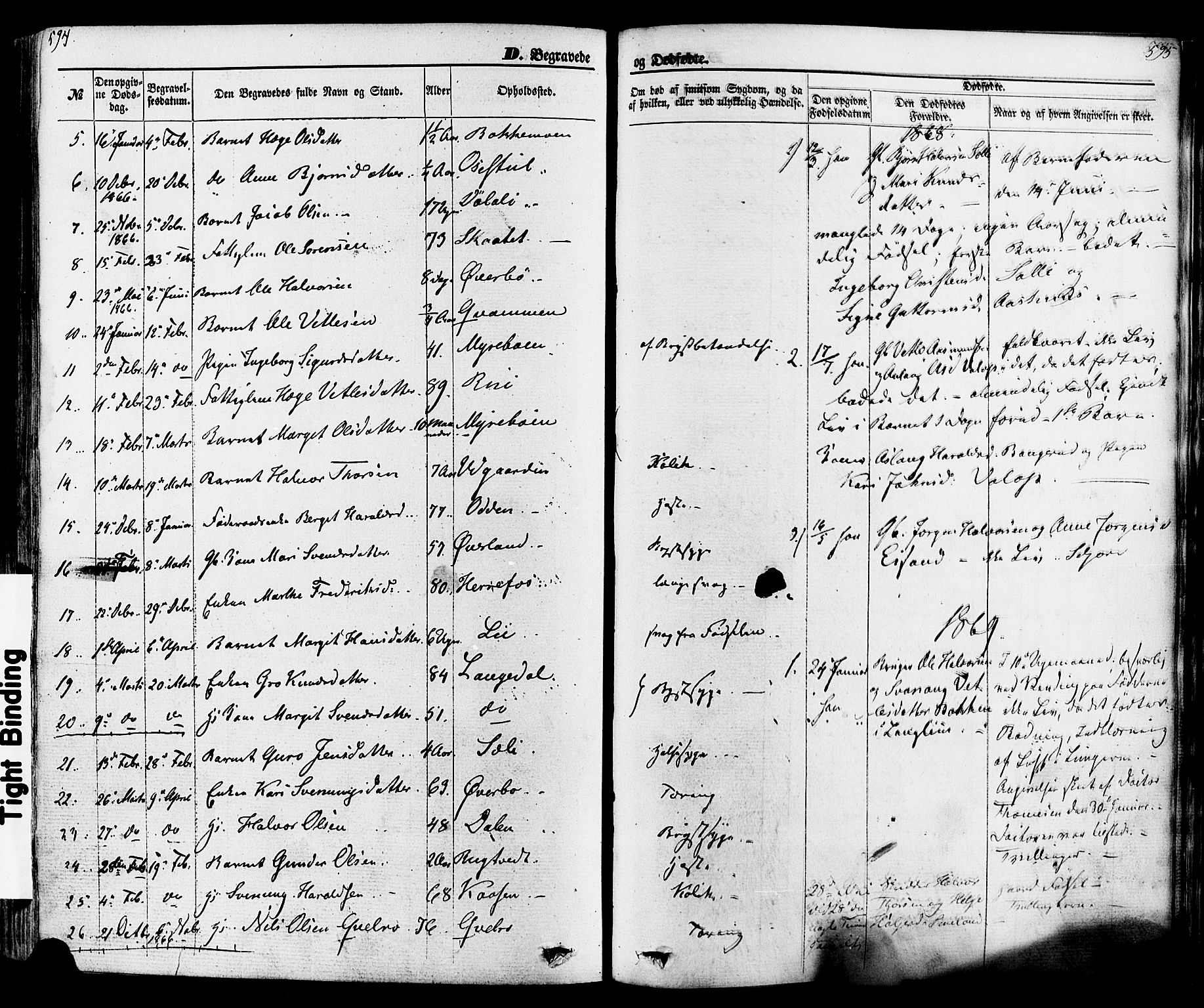 Seljord kirkebøker, SAKO/A-20/F/Fa/L0013: Parish register (official) no. I 13, 1866-1876, p. 594-595