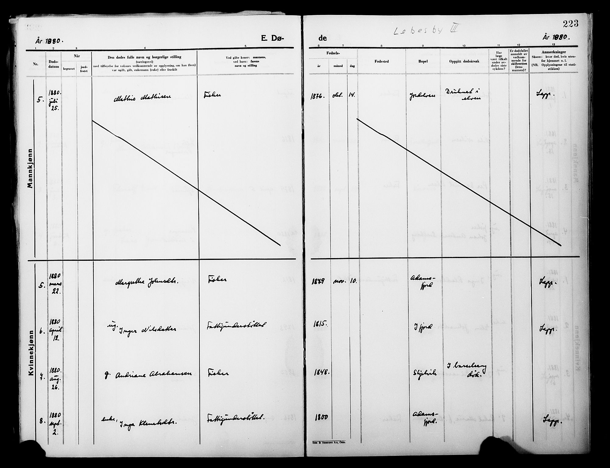 Lebesby sokneprestkontor, AV/SATØ-S-1353/H/Ha/L0004kirke: Parish register (official) no. 4, 1870-1902, p. 223