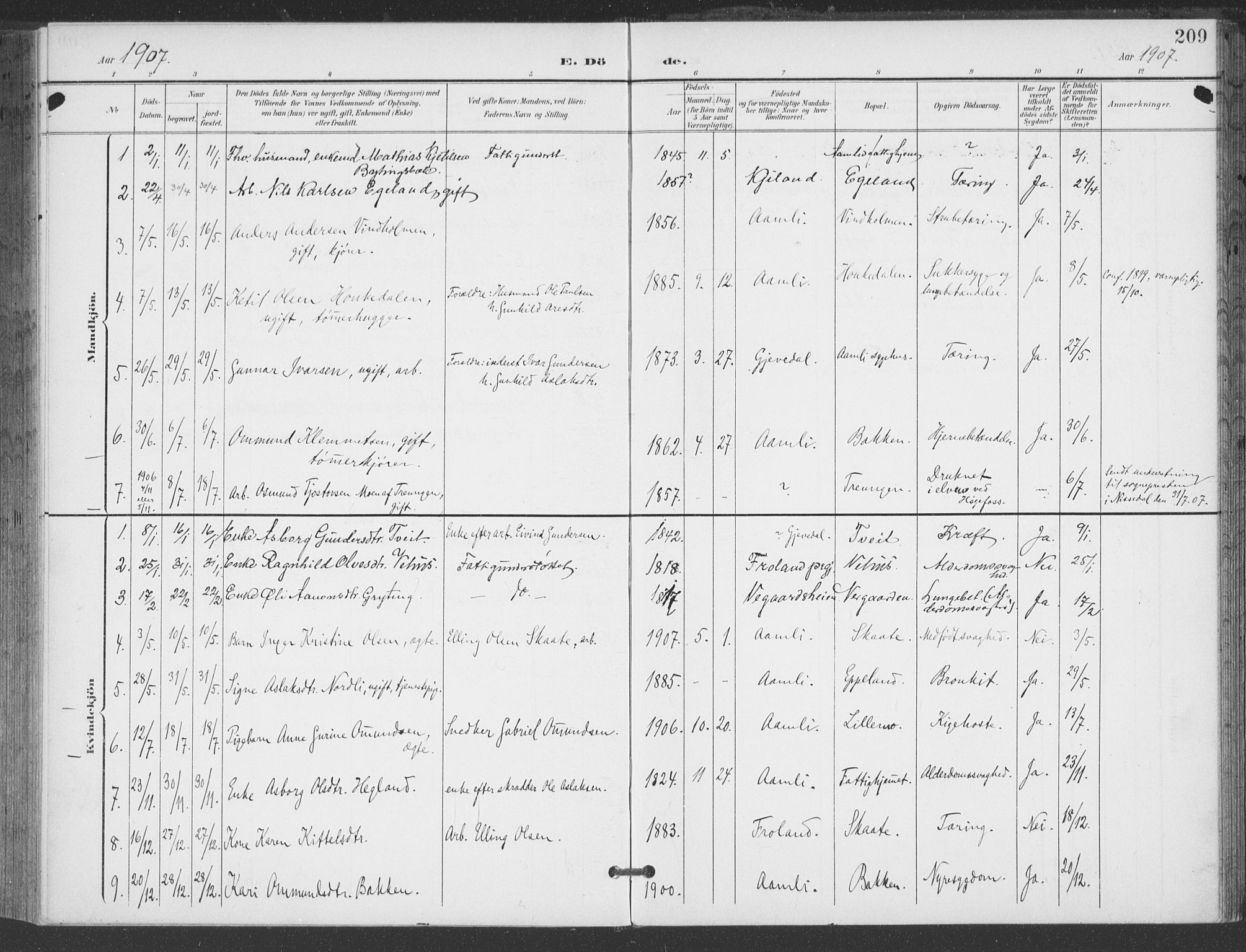 Åmli sokneprestkontor, AV/SAK-1111-0050/F/Fa/Fac/L0012: Parish register (official) no. A 12, 1900-1914, p. 209