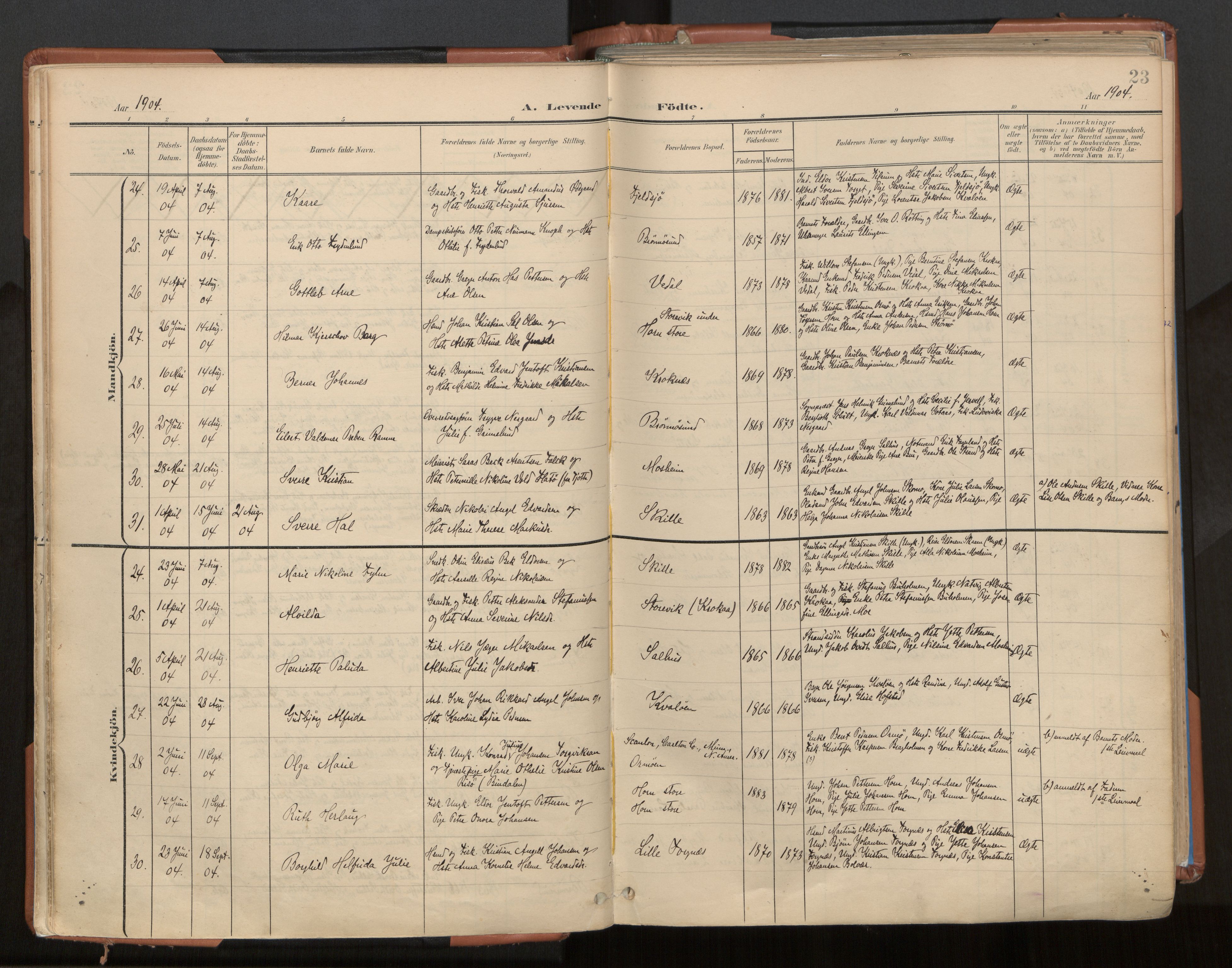 Ministerialprotokoller, klokkerbøker og fødselsregistre - Nordland, SAT/A-1459/813/L0201: Parish register (official) no. 813A11, 1901-1918, p. 23