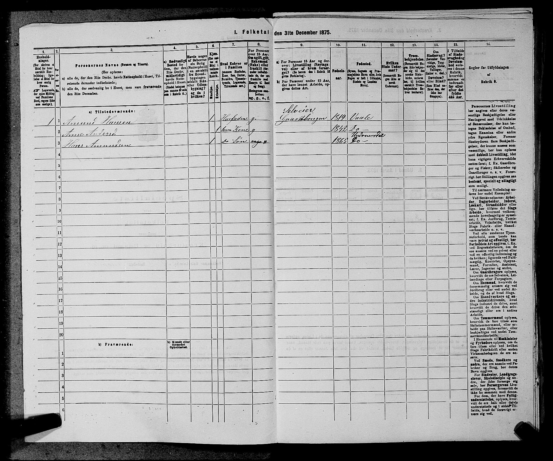 SAKO, 1875 census for 0716P Våle, 1875, p. 223