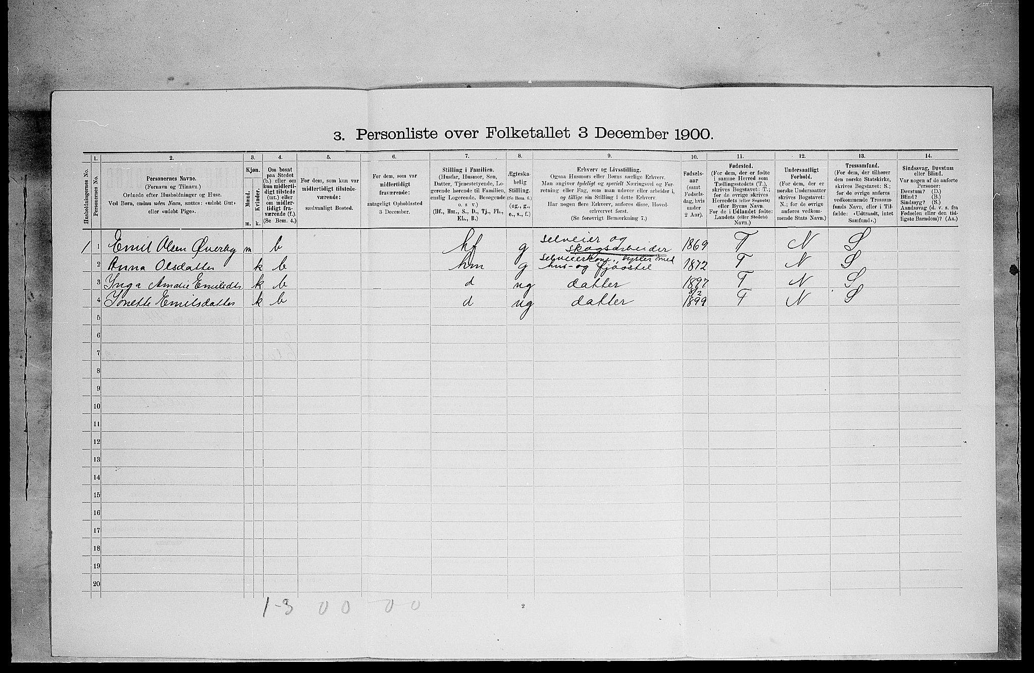 SAH, 1900 census for Elverum, 1900, p. 2879