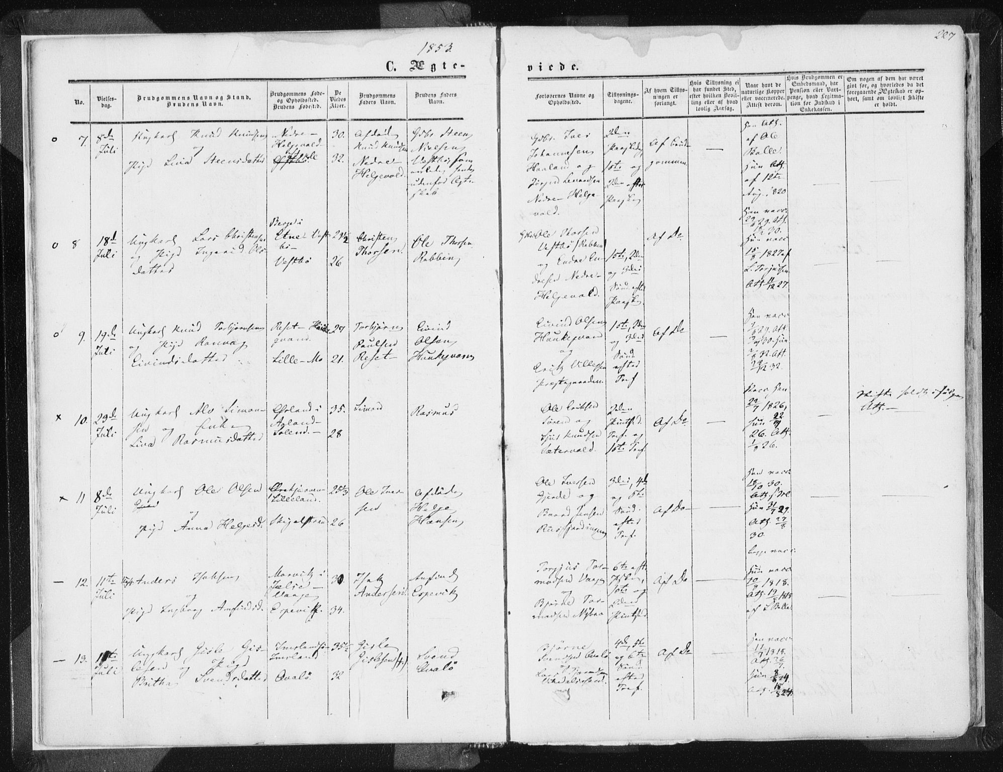 Vikedal sokneprestkontor, AV/SAST-A-101840/01/IV: Parish register (official) no. A 6.2, 1851-1867, p. 227