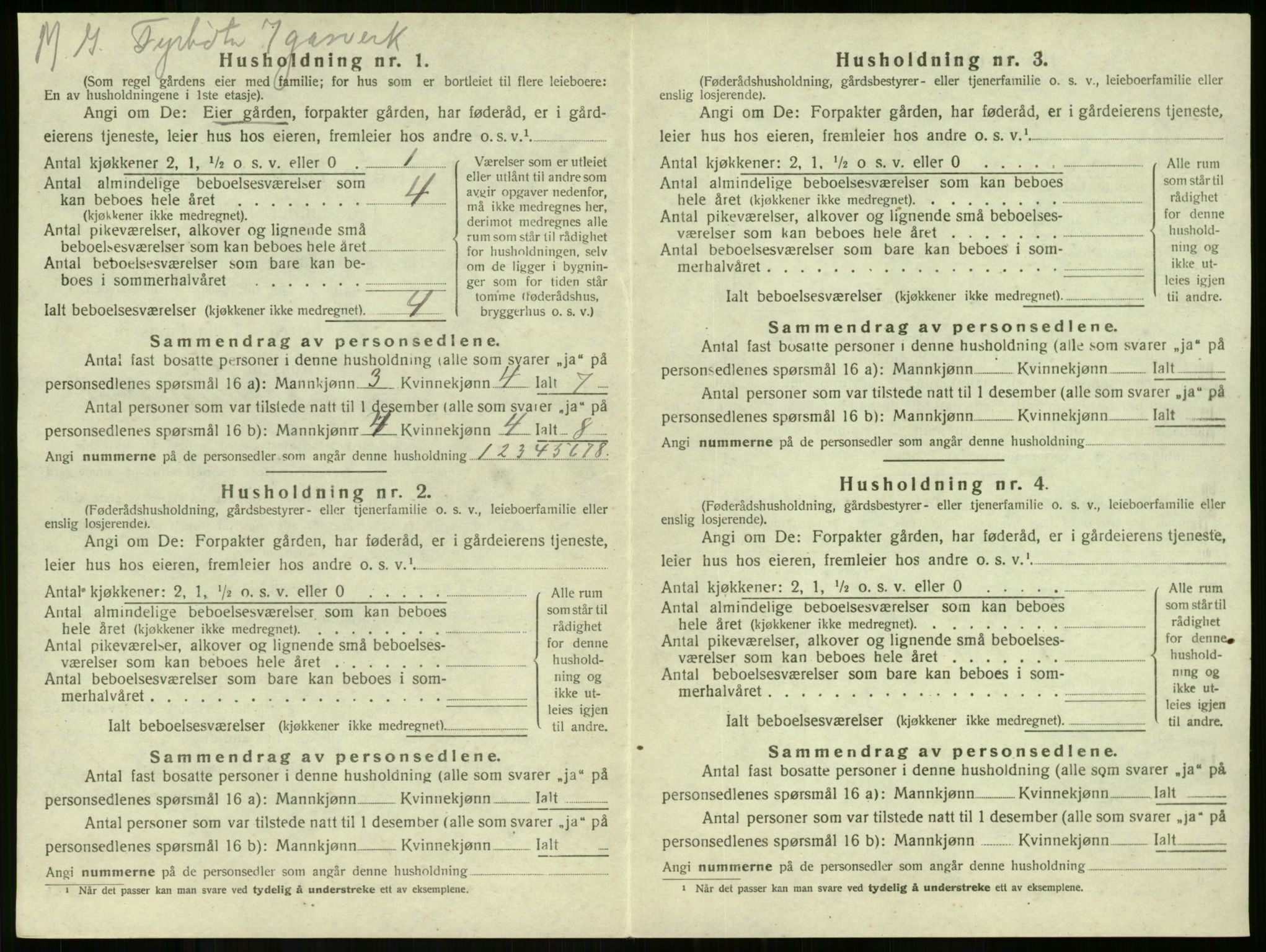 SAKO, 1920 census for Stokke, 1920, p. 1113