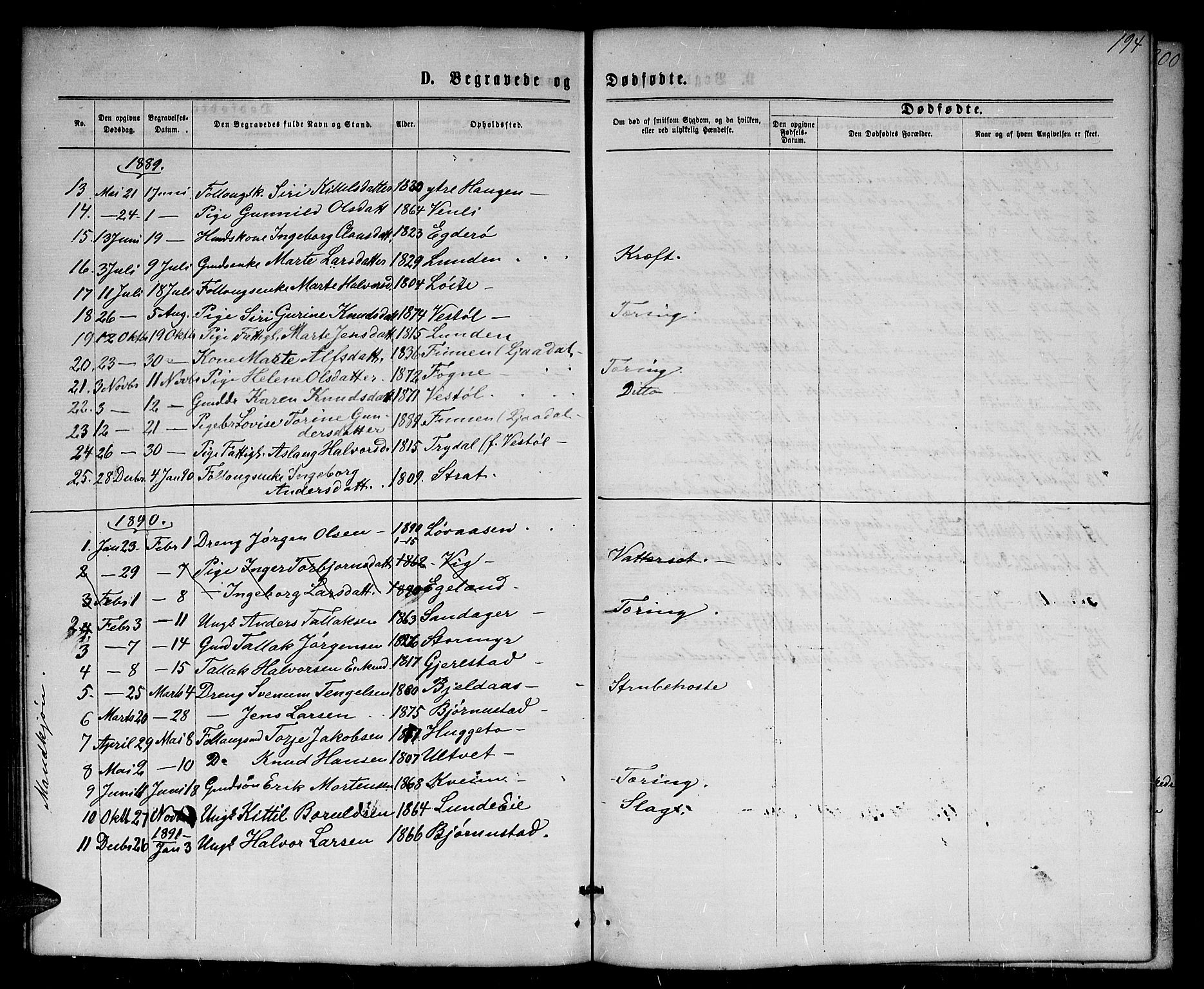 Gjerstad sokneprestkontor, AV/SAK-1111-0014/F/Fb/Fba/L0006: Parish register (copy) no. B 6, 1868-1890, p. 194