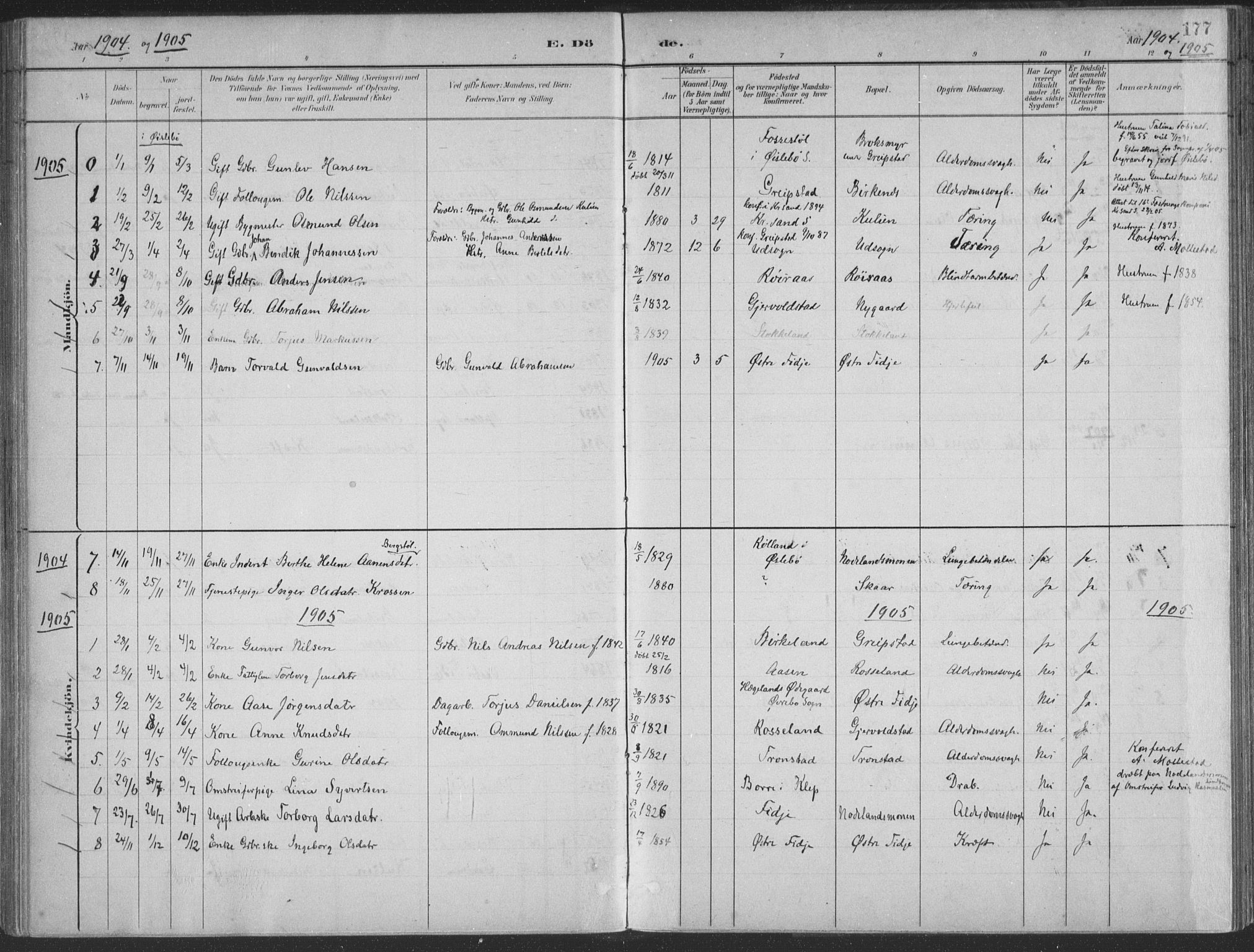 Søgne sokneprestkontor, SAK/1111-0037/F/Fa/Faa/L0003: Parish register (official) no. A 3, 1883-1910, p. 177