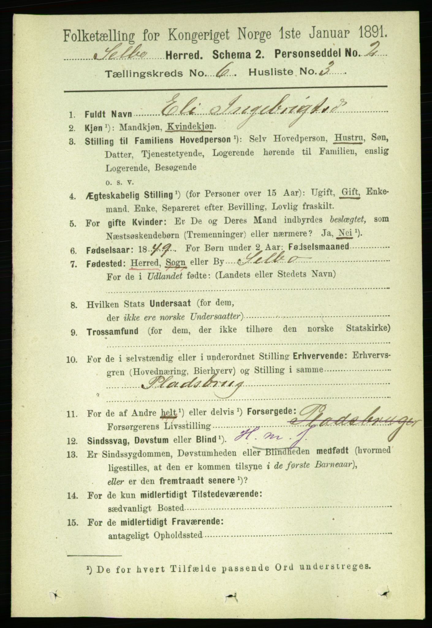 RA, 1891 census for 1664 Selbu, 1891, p. 2142