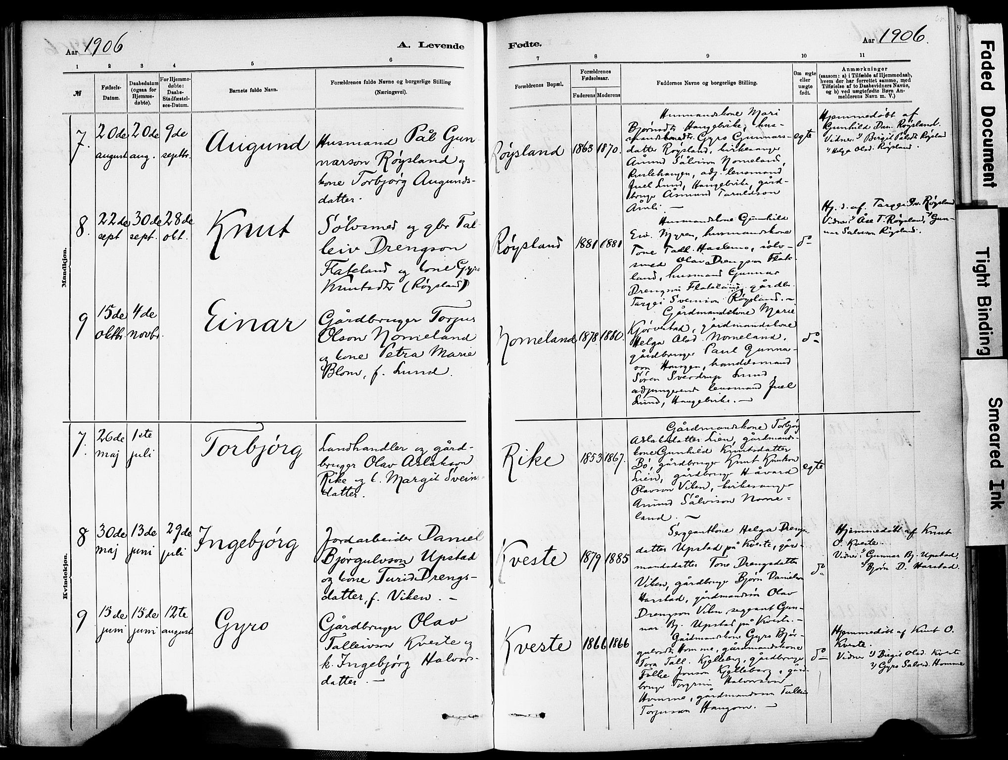 Valle sokneprestkontor, AV/SAK-1111-0044/F/Fa/Fac/L0009: Parish register (official) no. A 9, 1882-1913, p. 65