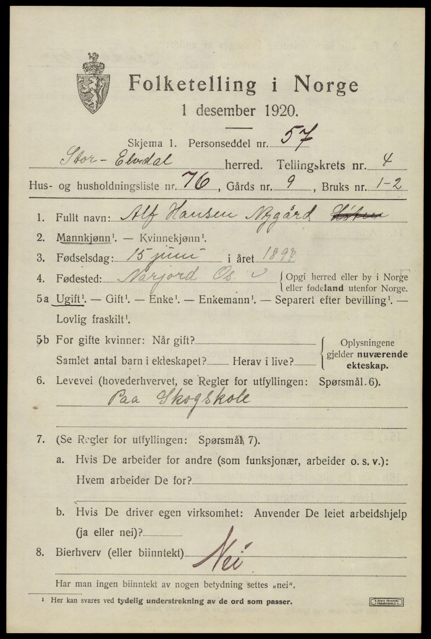 SAH, 1920 census for Stor-Elvdal, 1920, p. 4402