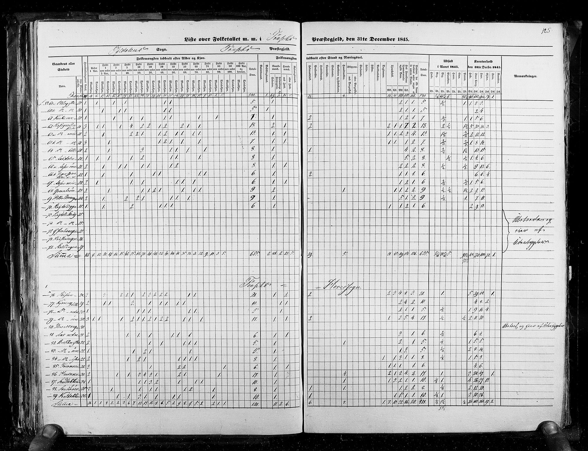 RA, Census 1845, vol. 3: Hedemarken amt og Kristians amt, 1845, p. 125