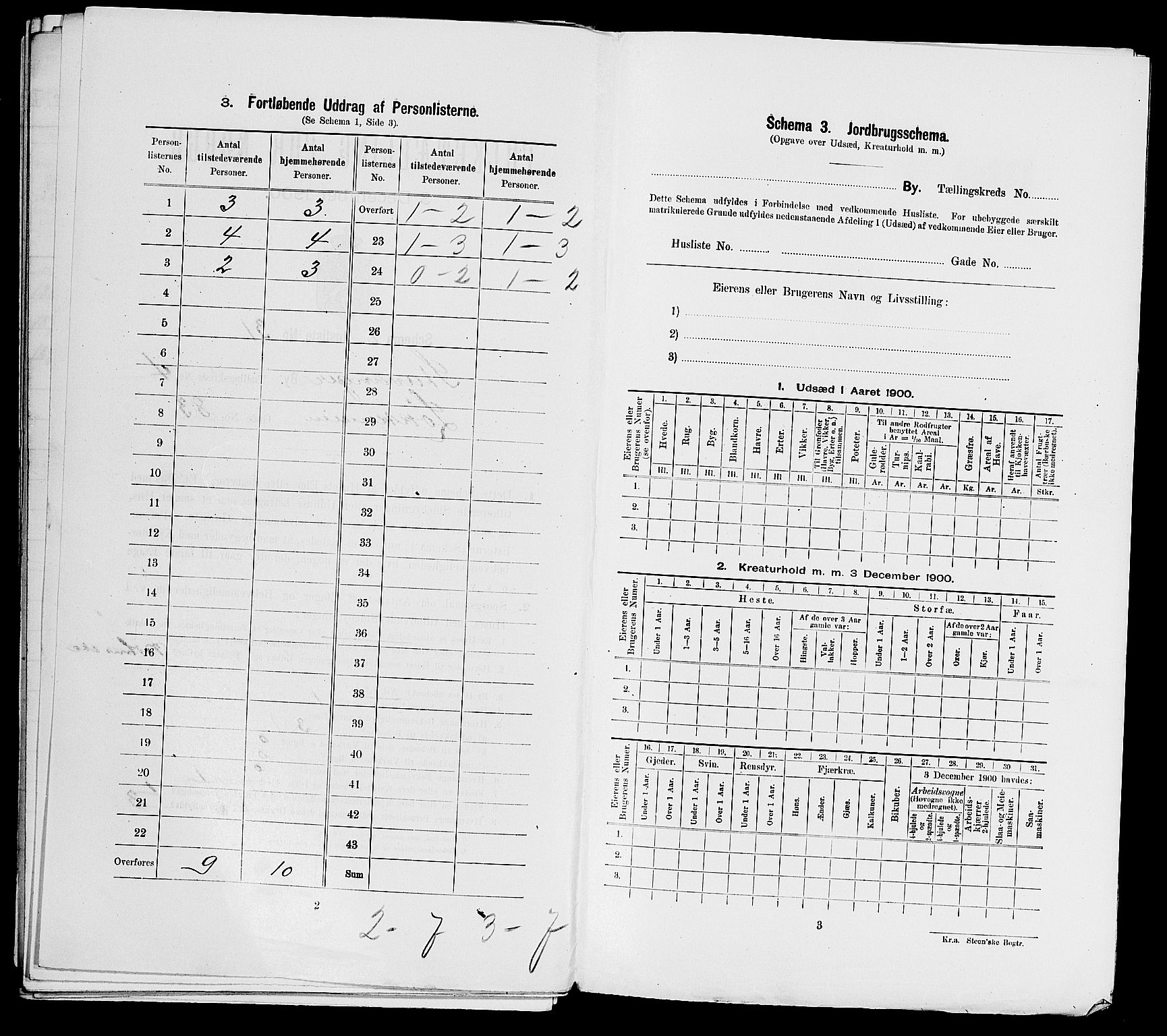 SAST, 1900 census for Stavanger, 1900, p. 1419