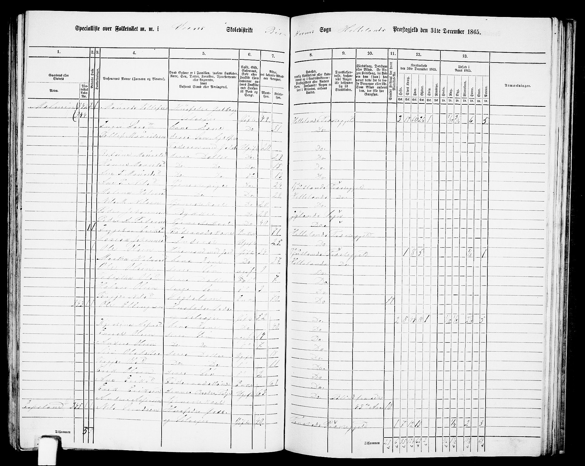 RA, 1865 census for Helleland, 1865, p. 106