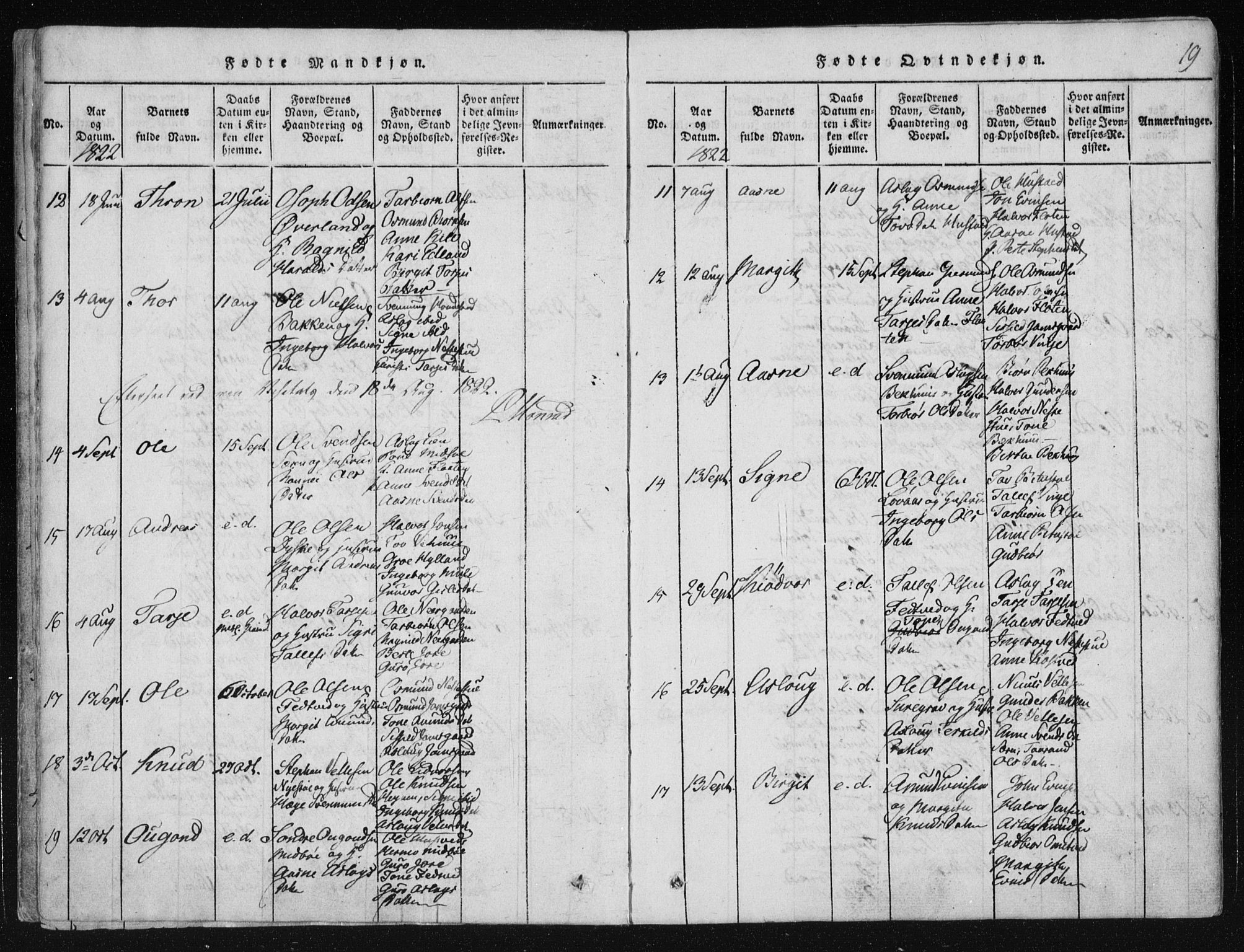 Vinje kirkebøker, AV/SAKO-A-312/F/Fa/L0003: Parish register (official) no. I 3, 1814-1843, p. 19