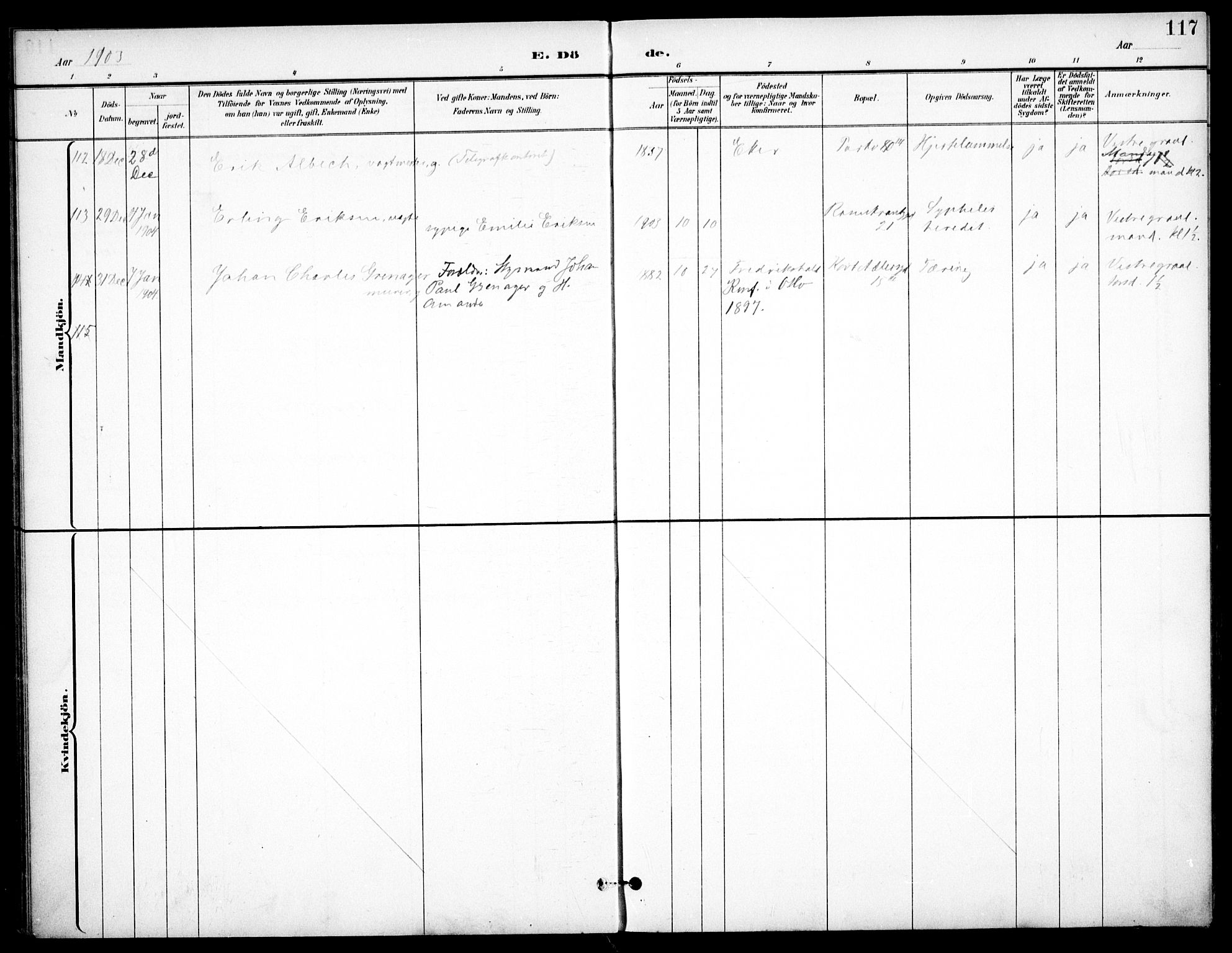 Johannes prestekontor Kirkebøker, SAO/A-10852/F/Fa/L0008: Parish register (official) no. 8, 1897-1917, p. 117