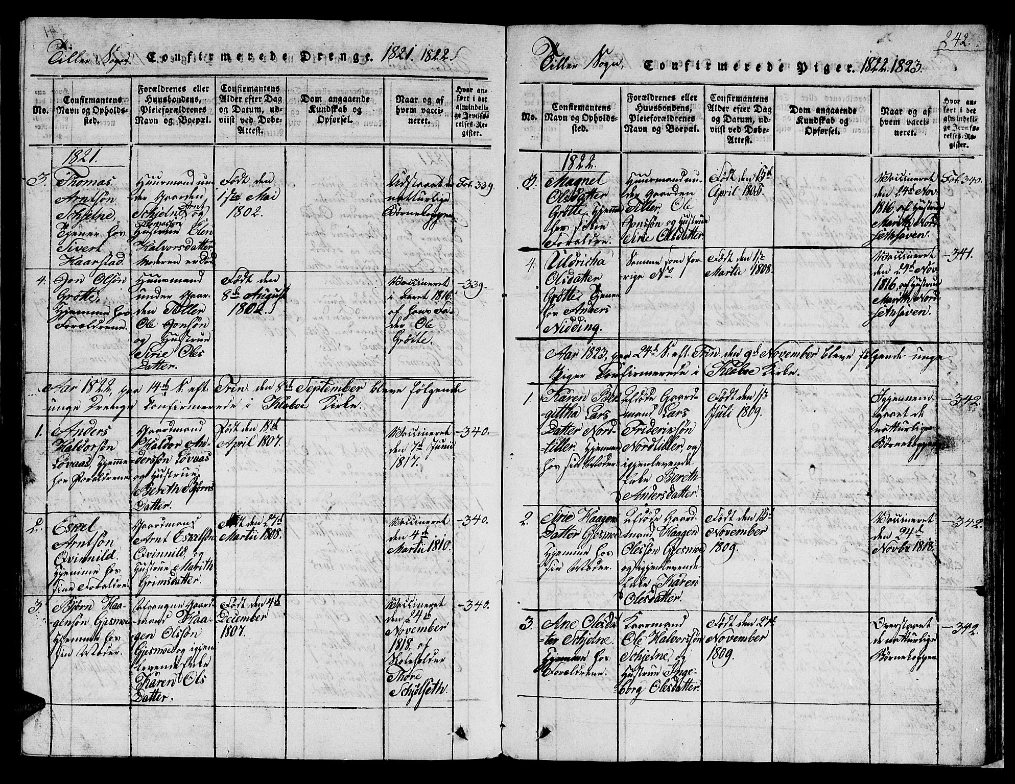 Ministerialprotokoller, klokkerbøker og fødselsregistre - Sør-Trøndelag, AV/SAT-A-1456/621/L0458: Parish register (copy) no. 621C01, 1816-1865, p. 242