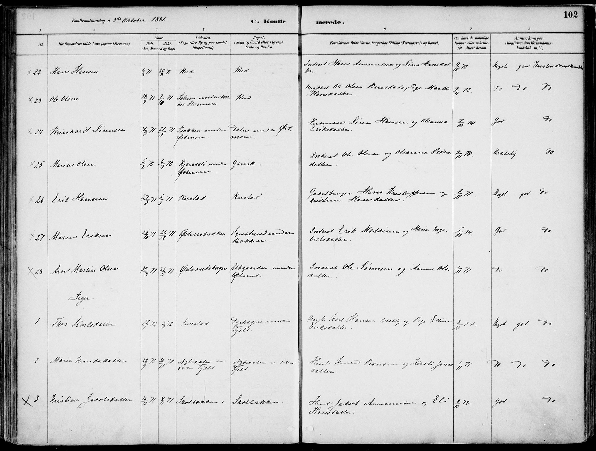 Nord-Odal prestekontor, AV/SAH-PREST-032/H/Ha/Haa/L0008: Parish register (official) no. 8, 1886-1901, p. 102