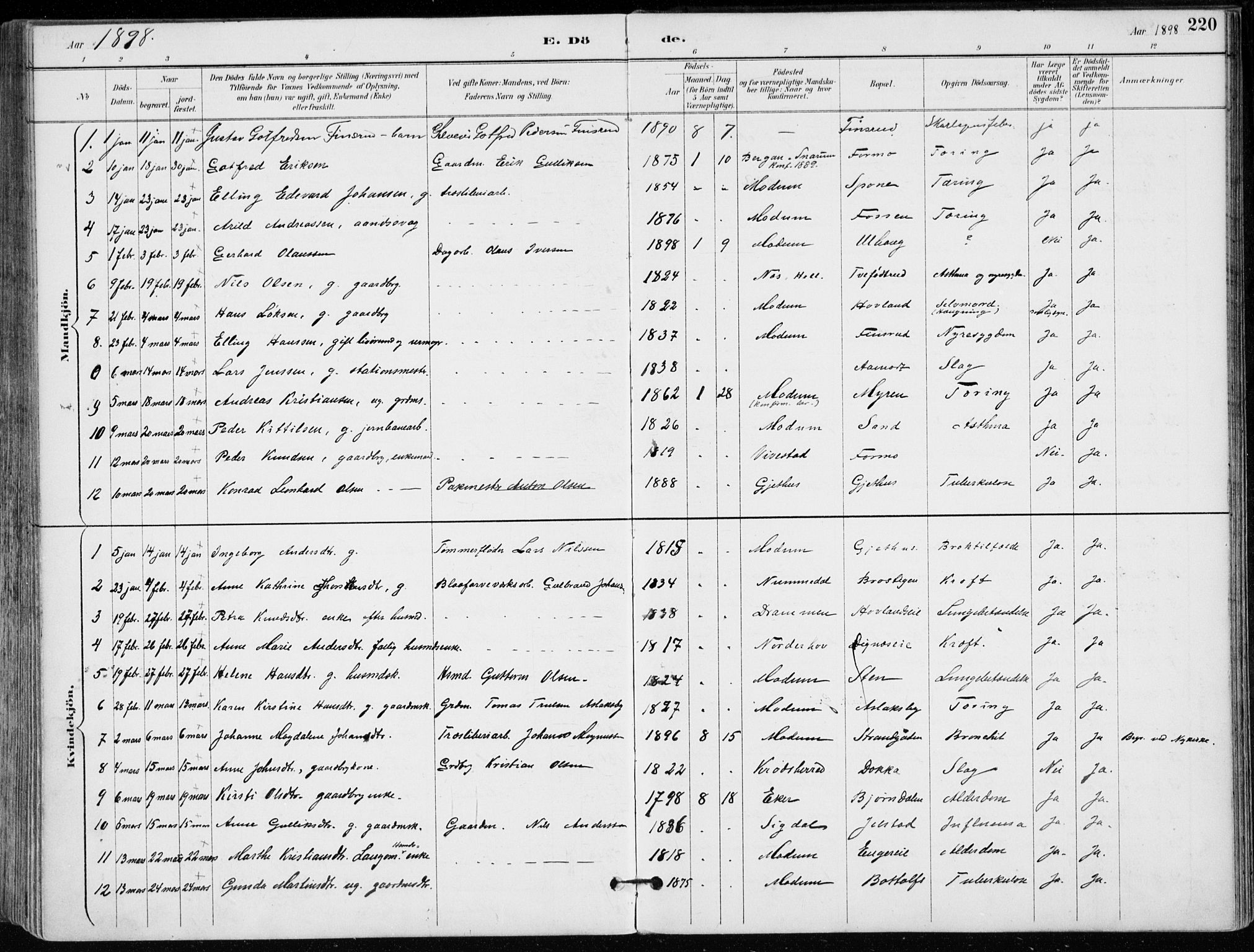 Modum kirkebøker, AV/SAKO-A-234/F/Fa/L0012: Parish register (official) no. 12, 1890-1898, p. 220