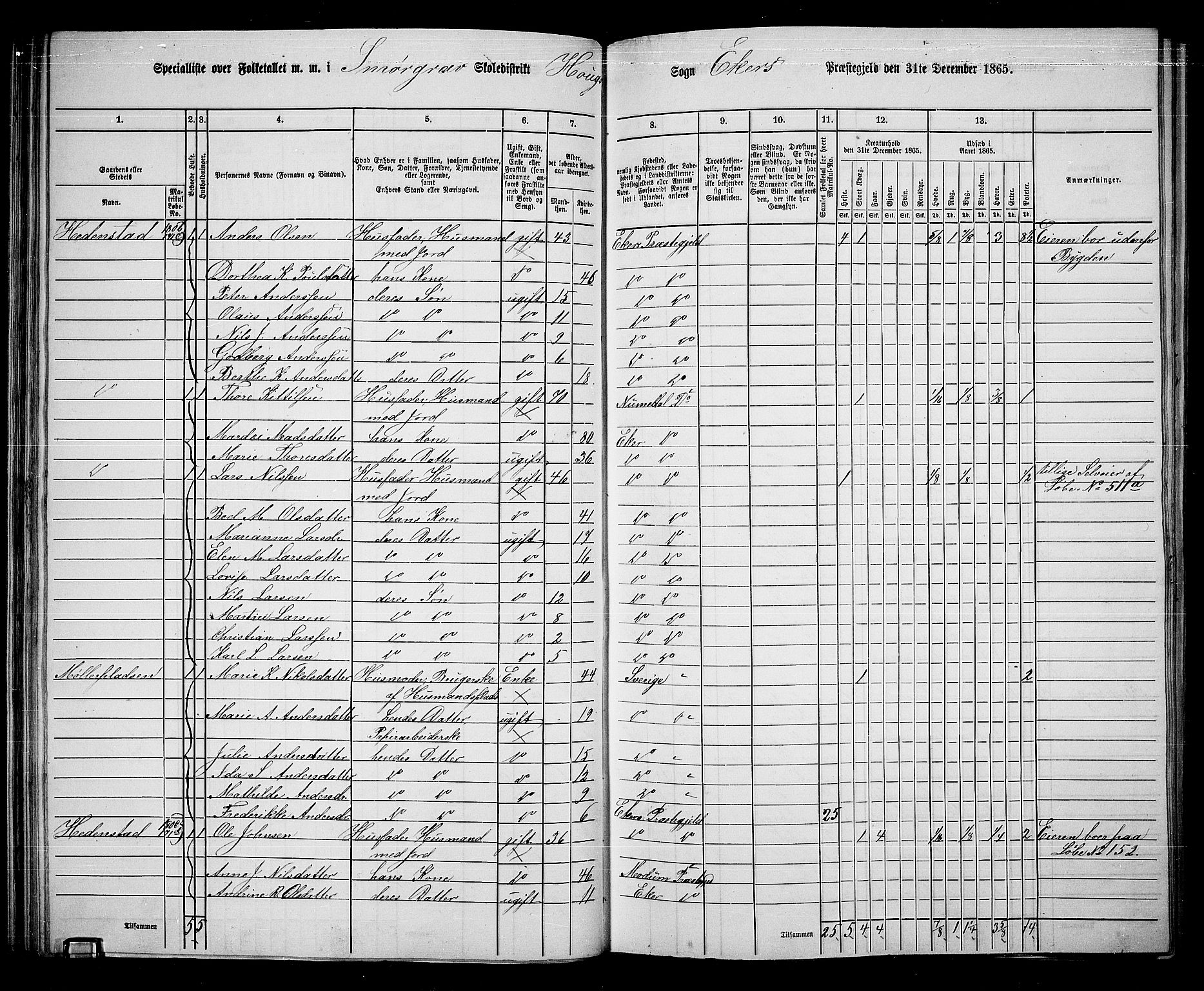 RA, 1865 census for Eiker, 1865, p. 59