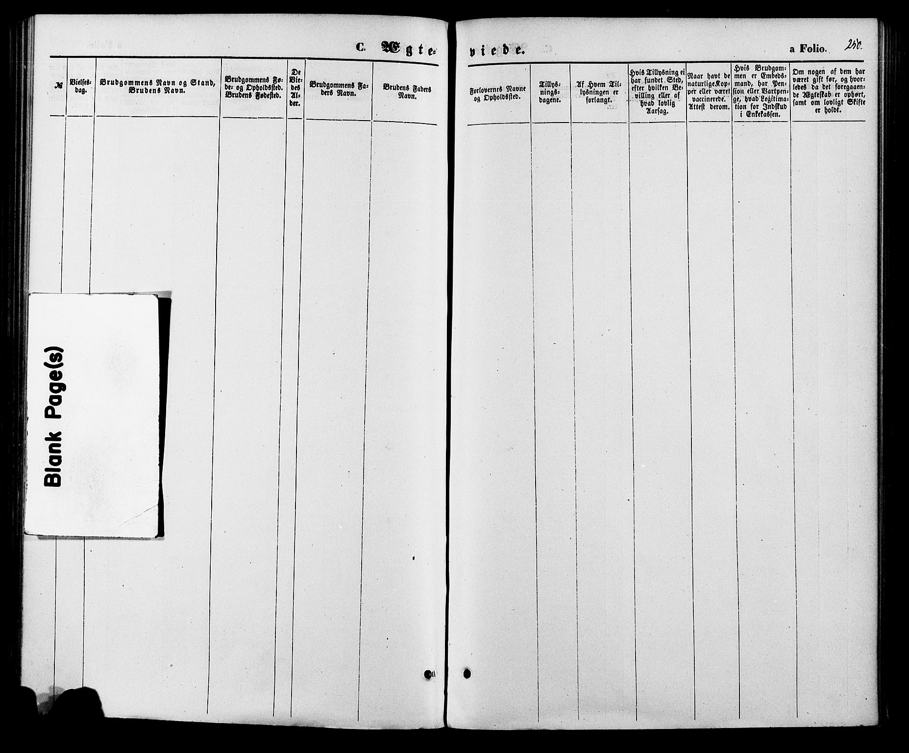 Vennesla sokneprestkontor, SAK/1111-0045/Fa/Fac/L0008: Parish register (official) no. A 8, 1874-1883, p. 250