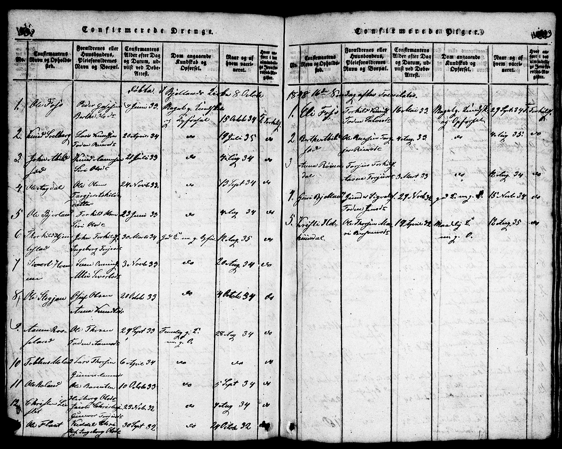 Bjelland sokneprestkontor, SAK/1111-0005/F/Fb/Fba/L0003: Parish register (copy) no. B 3, 1816-1870, p. 532-533