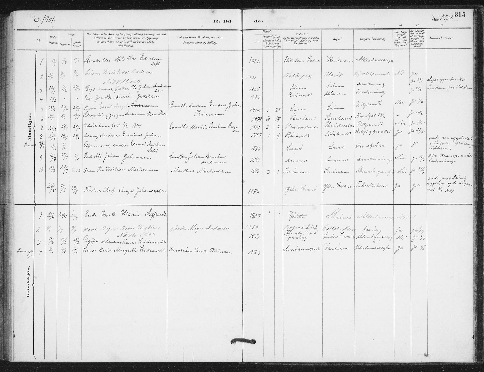 Ministerialprotokoller, klokkerbøker og fødselsregistre - Nordland, SAT/A-1459/839/L0573: Parish register (copy) no. 839C03, 1892-1917, p. 315