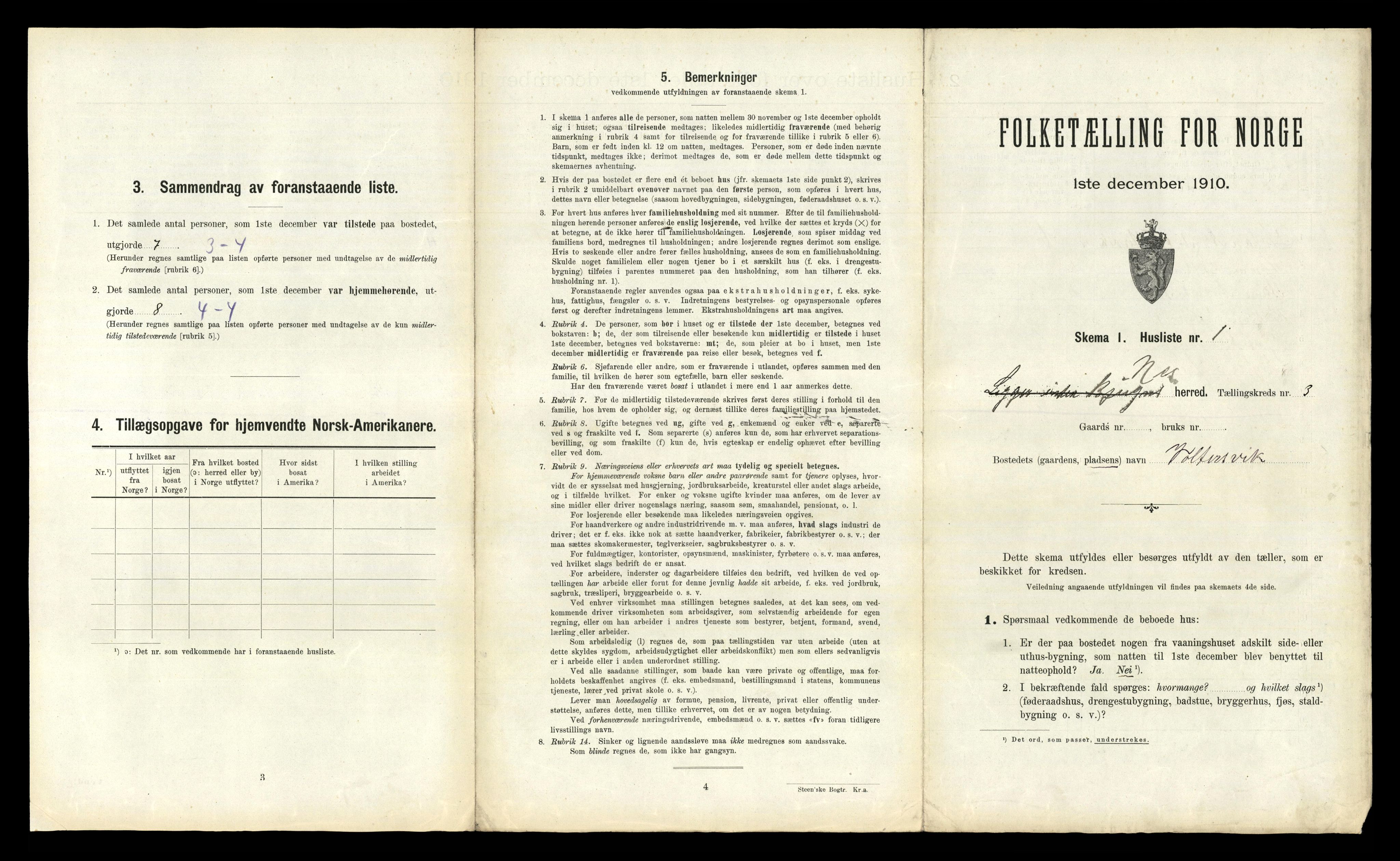 RA, 1910 census for Nes, 1910, p. 317