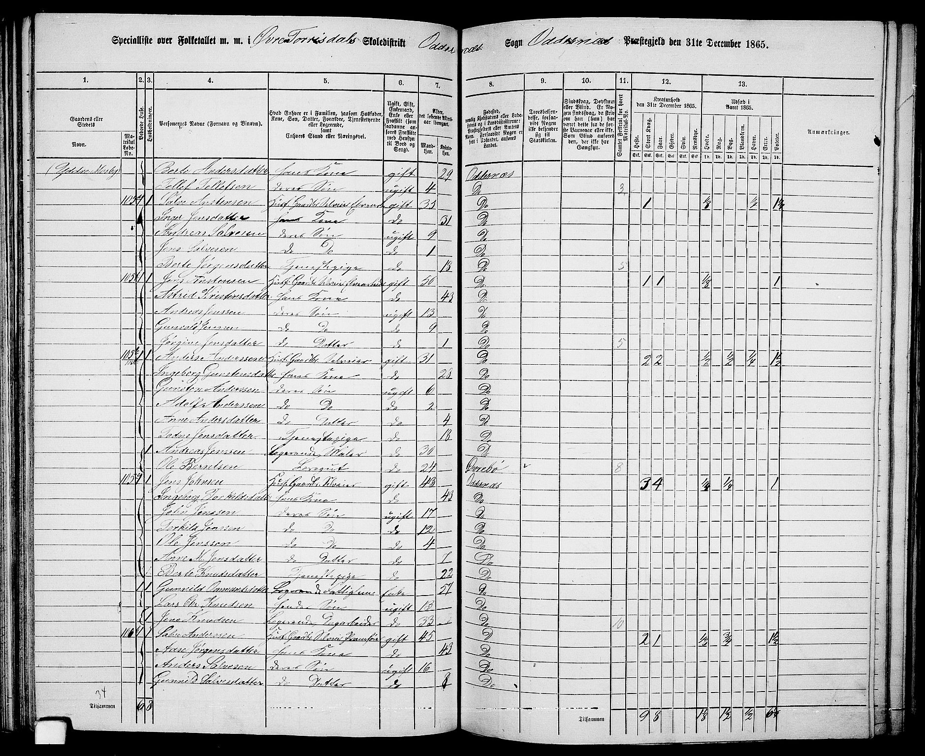 RA, 1865 census for Oddernes, 1865, p. 73