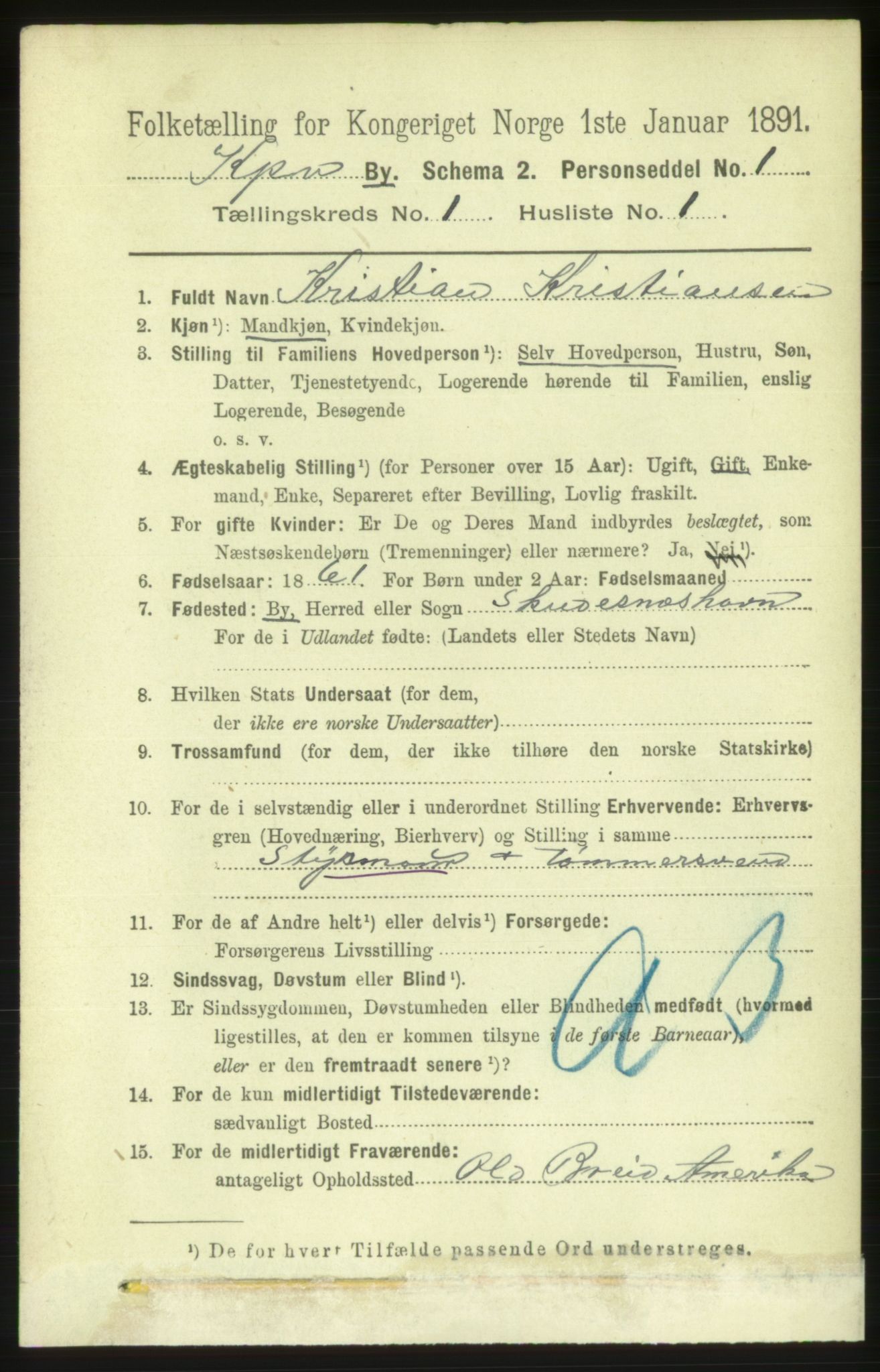 RA, 1891 census for 1105 Kopervik, 1891, p. 17