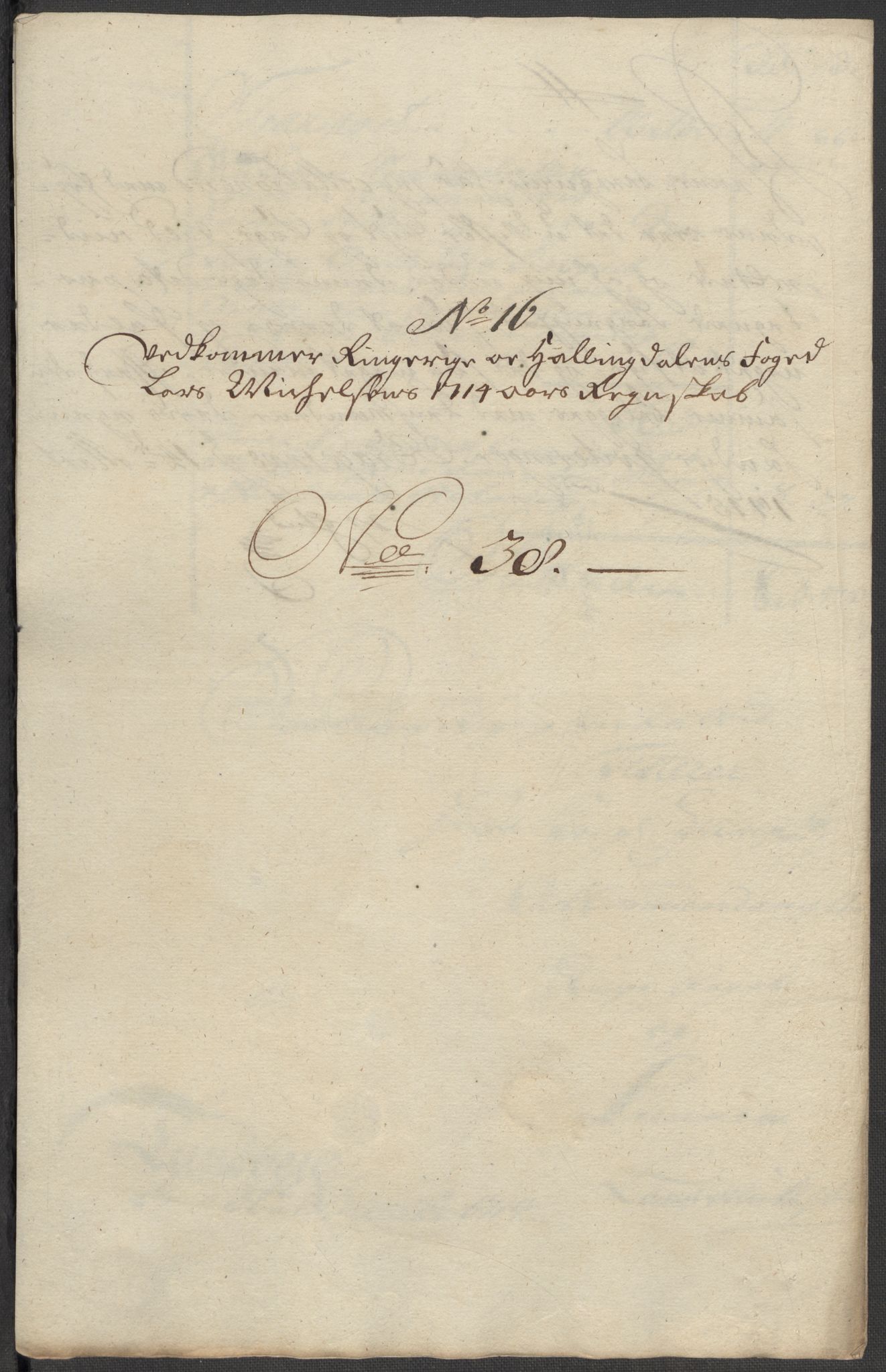 Rentekammeret inntil 1814, Reviderte regnskaper, Fogderegnskap, AV/RA-EA-4092/R23/L1471: Fogderegnskap Ringerike og Hallingdal, 1713-1714, p. 492